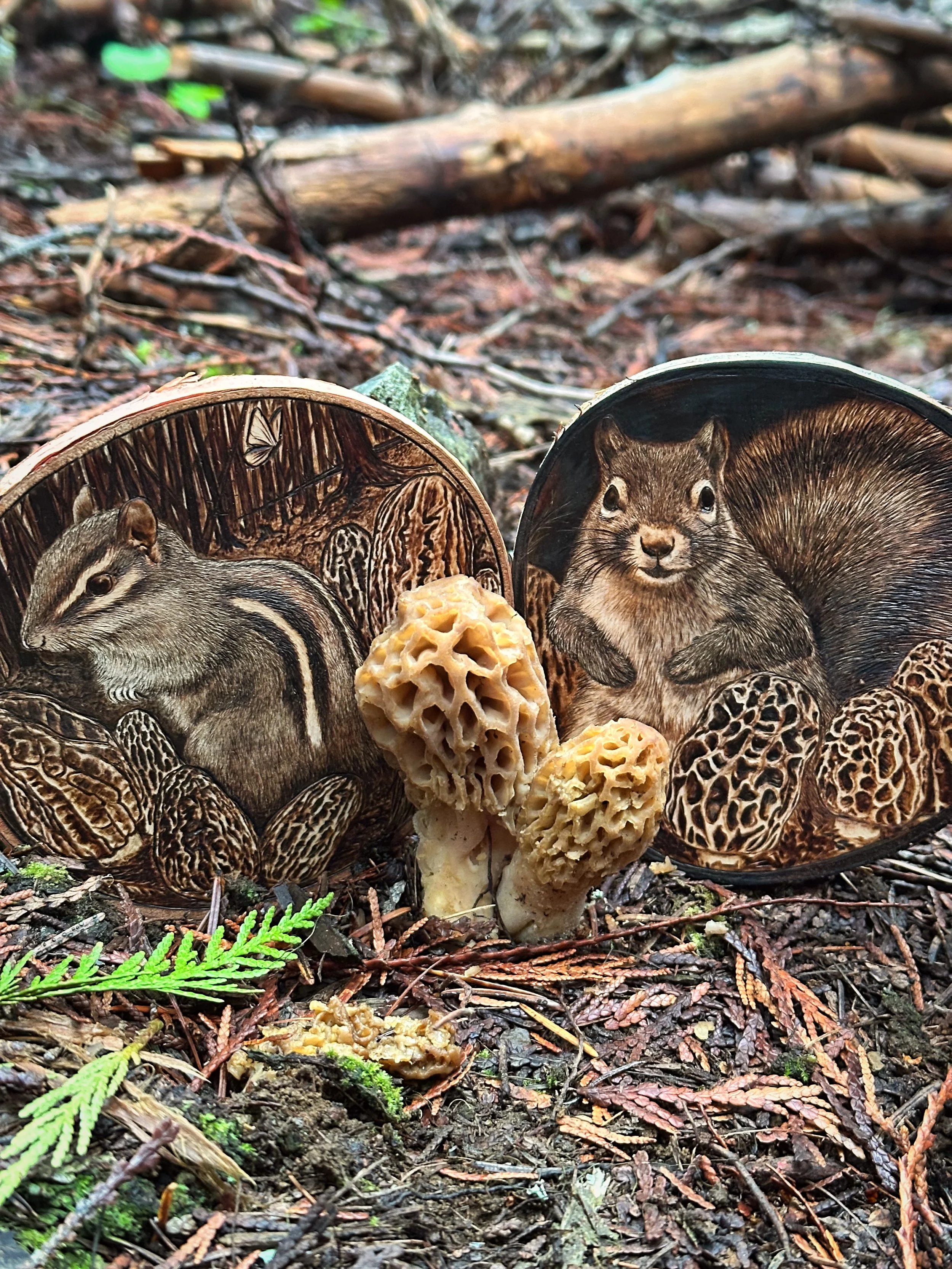 'Springtails' is a collection named after the little flies that ruin the mushrooms in the spring