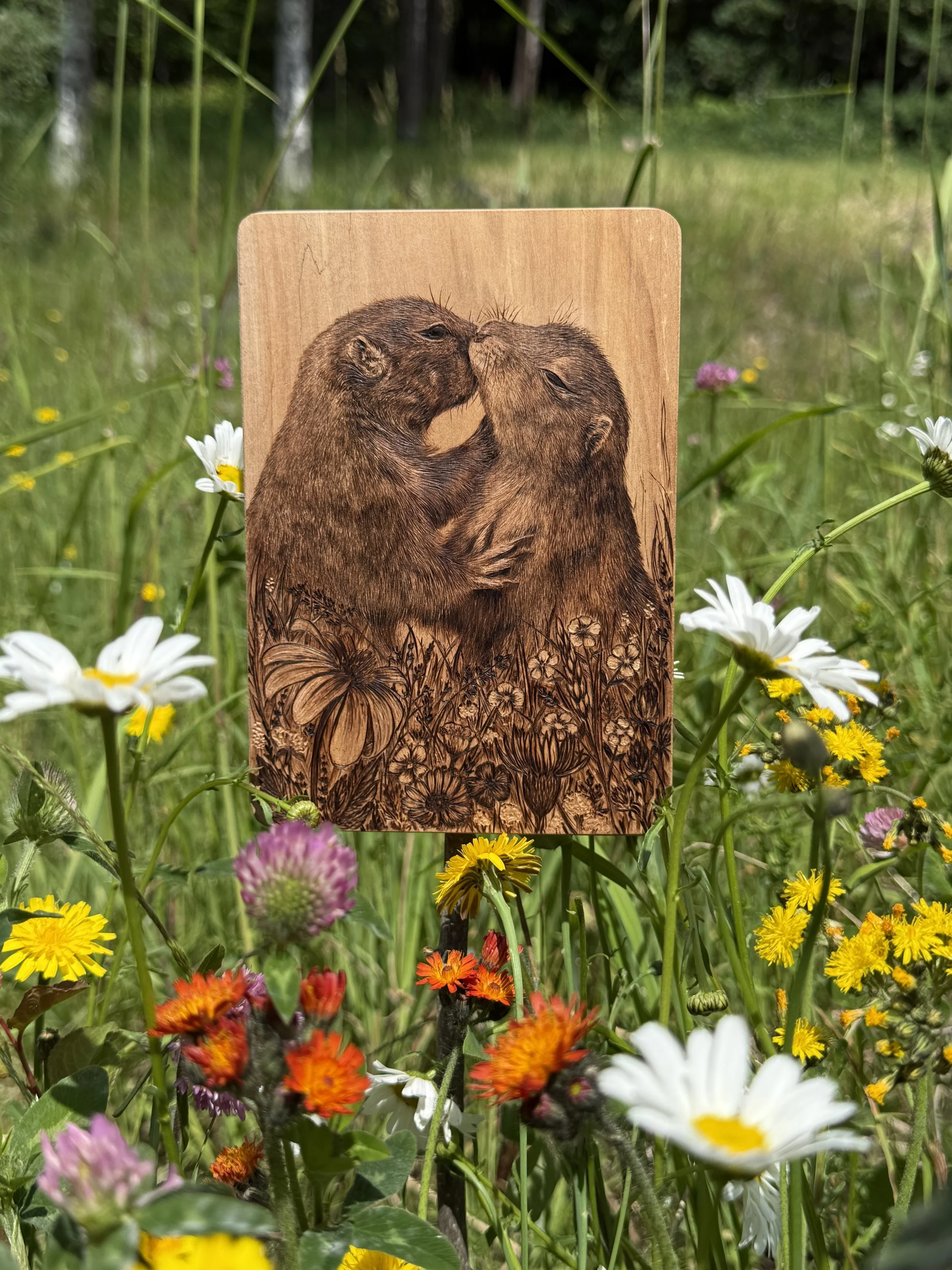 'Gopher it' in the meadow 