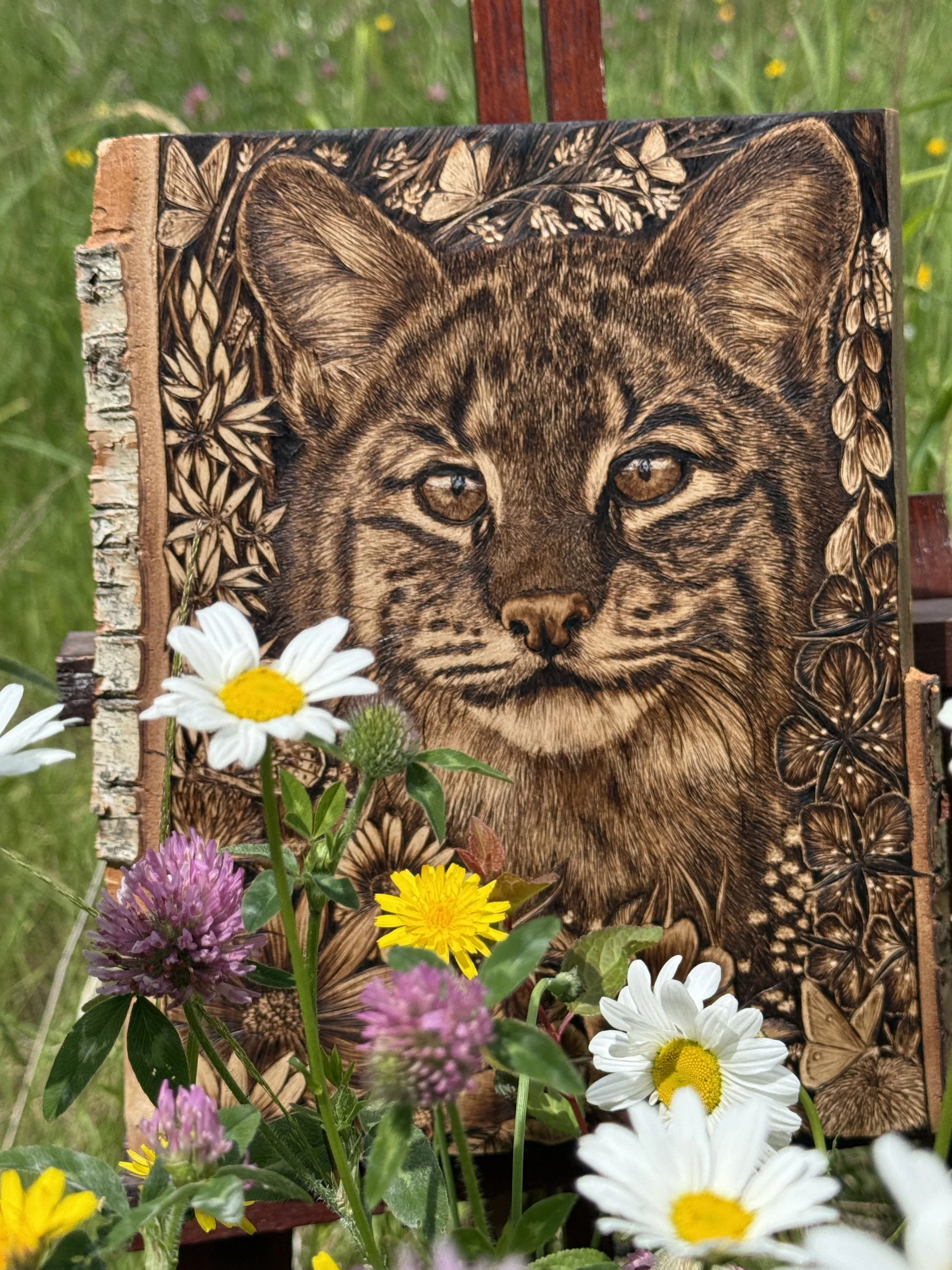 'Meadowlurk' lurking in the meadow 