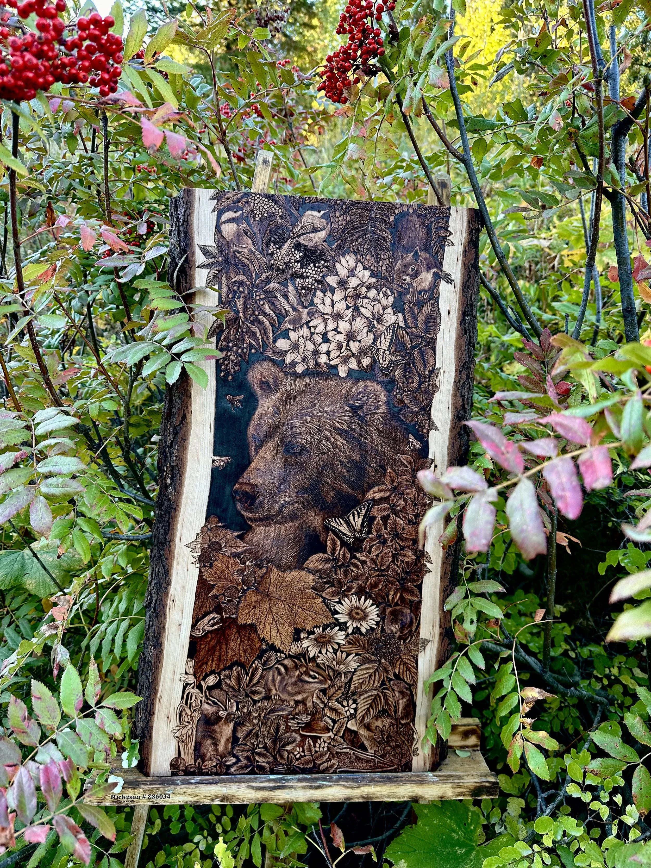 'Beary Season' with the Mountain Ash berries 