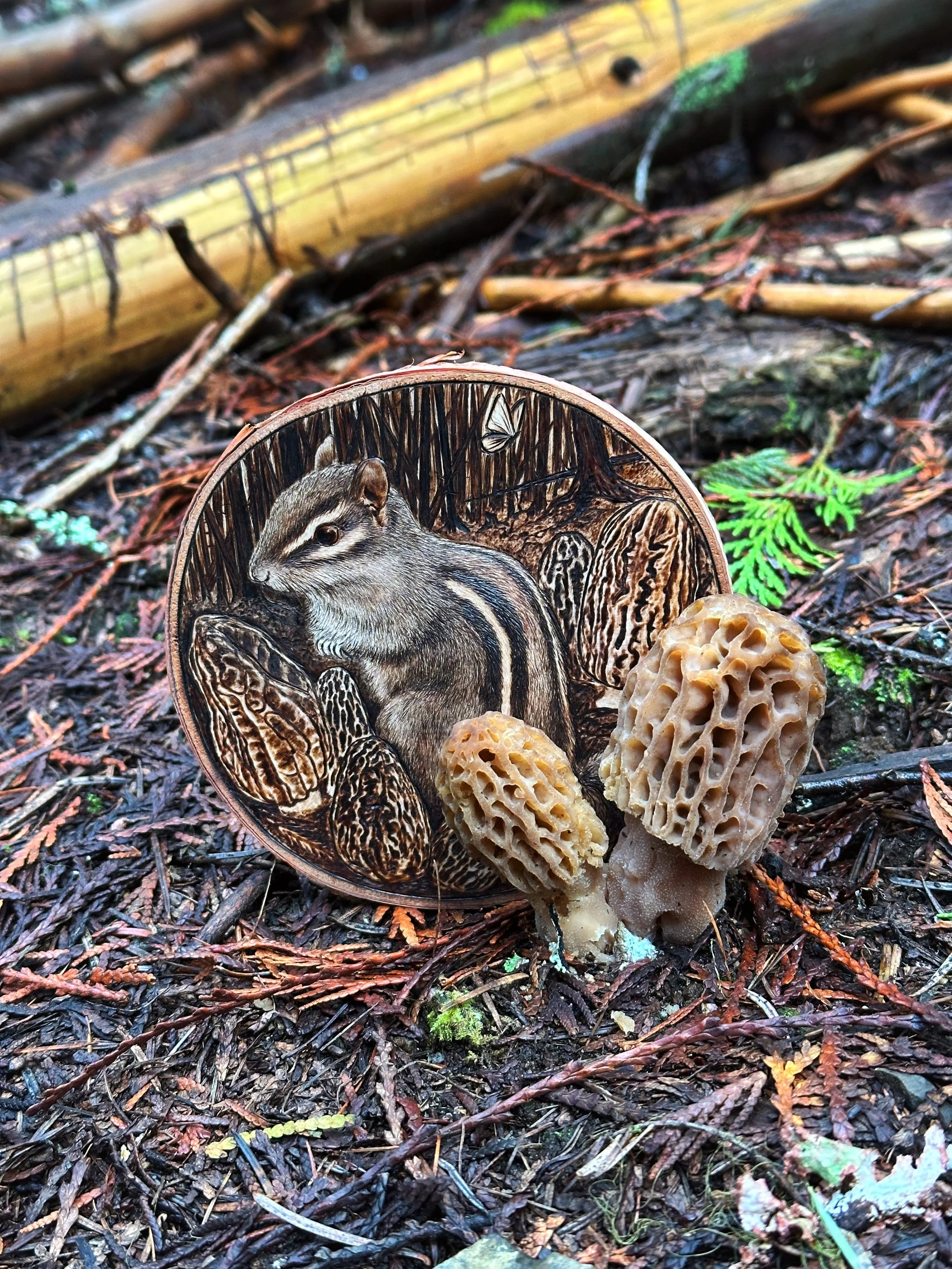 chipmunkfire2.jpg