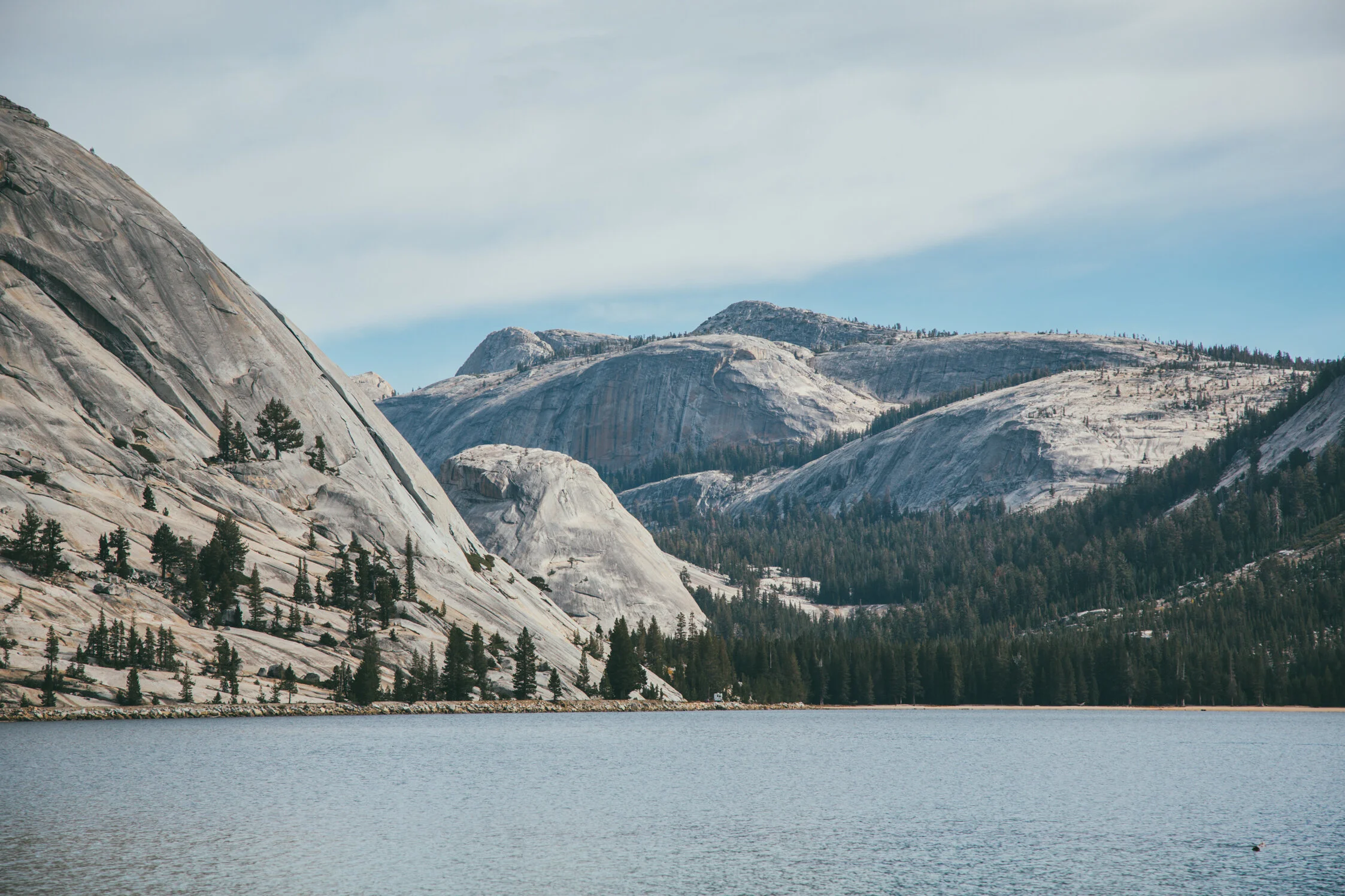 _20C5858.jpg