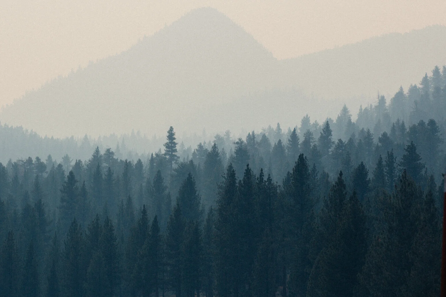 _20C5881.jpg