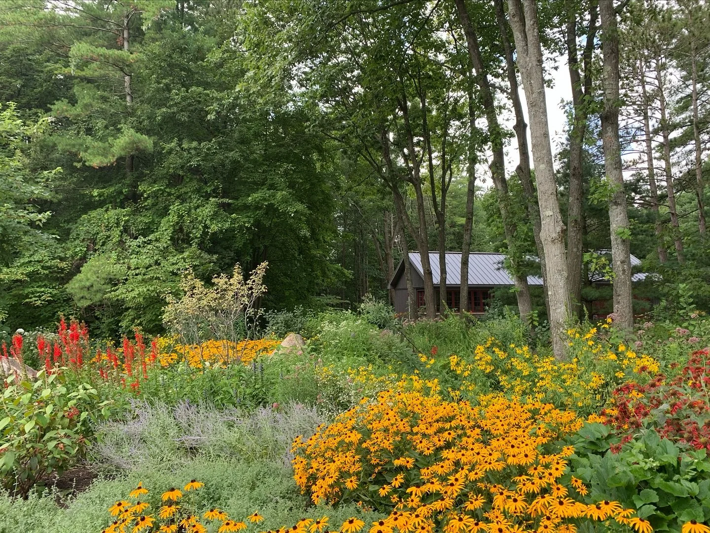 It is hard to express how much it means to be able to tend this property. The gardens are stunning and they are ALIVE. 
In looking at this picture, I was able to come up with 24 native perennial plants and shrubs within the visible space. They are in