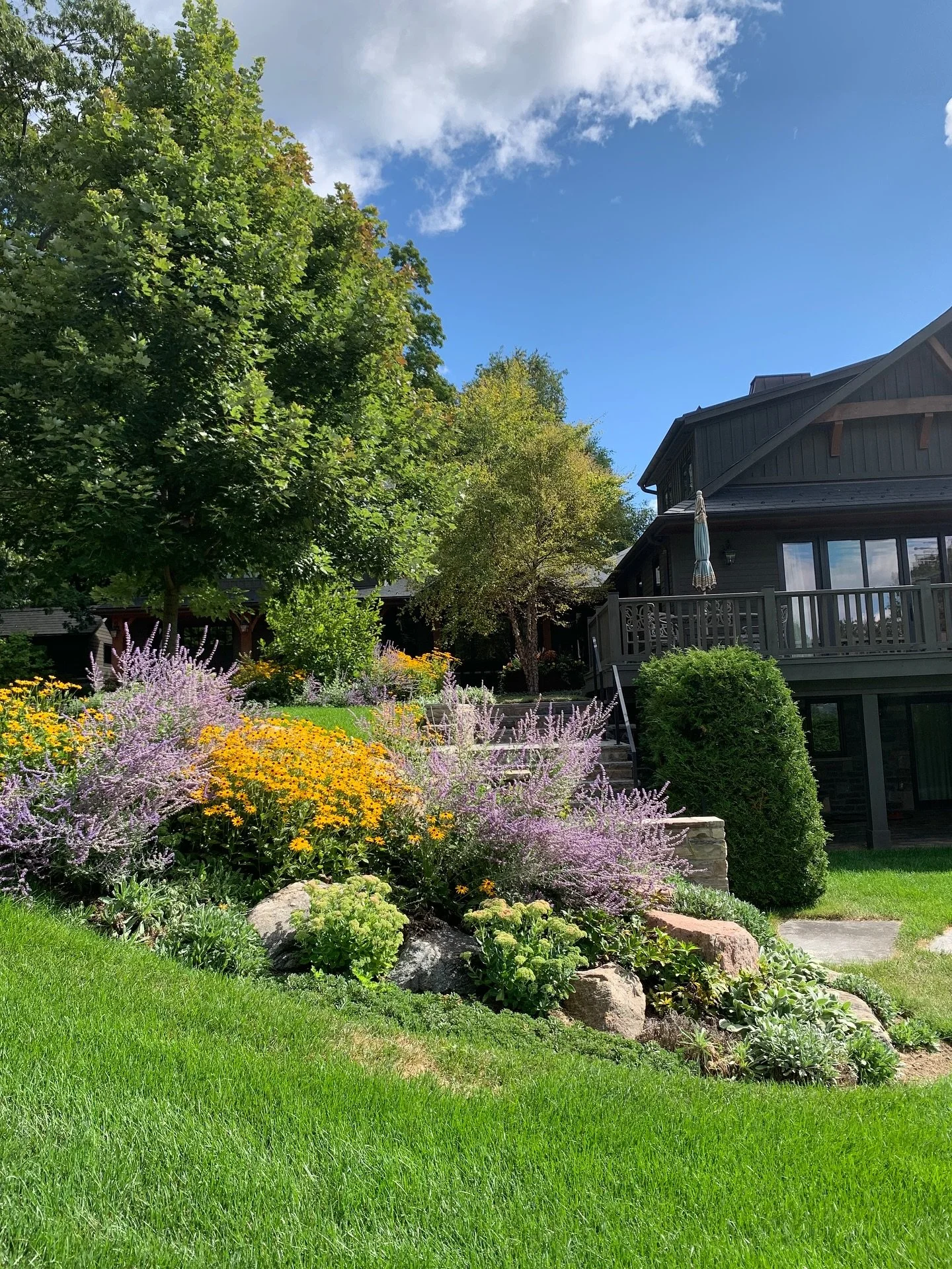 A beautiful day and a beautiful place 💕

This is the first time we&rsquo;ve tried putting tomato cages on the &lsquo;Rozanne&rsquo; geranium. We will be doing this every year!