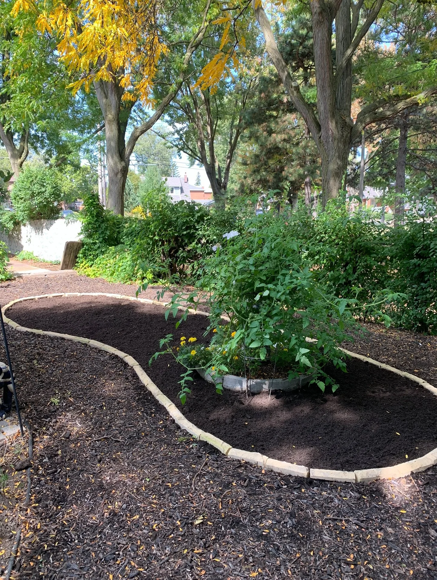 Phase 1 and phase 2 of another great local project we completed last week. We used extra bricks from the house to create the new garden border, and then added in a lovely mix of perennial plants. Plant list here includes some great species native to 