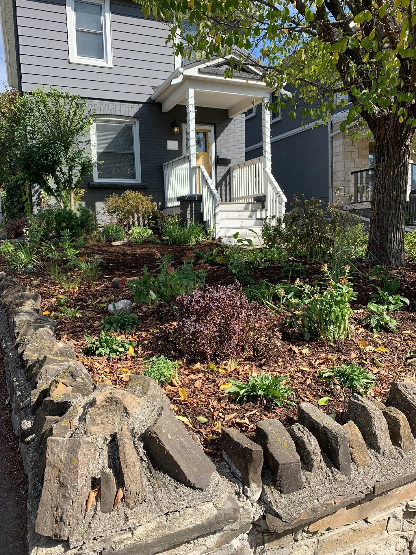 Very excited about this front yard pollinator garden transformation! 
Our client smothered the lawn under black plastic to create more garden space. We came in and weeded, pruned, transplanted many of the existing shrubs and perennials, and added 23 