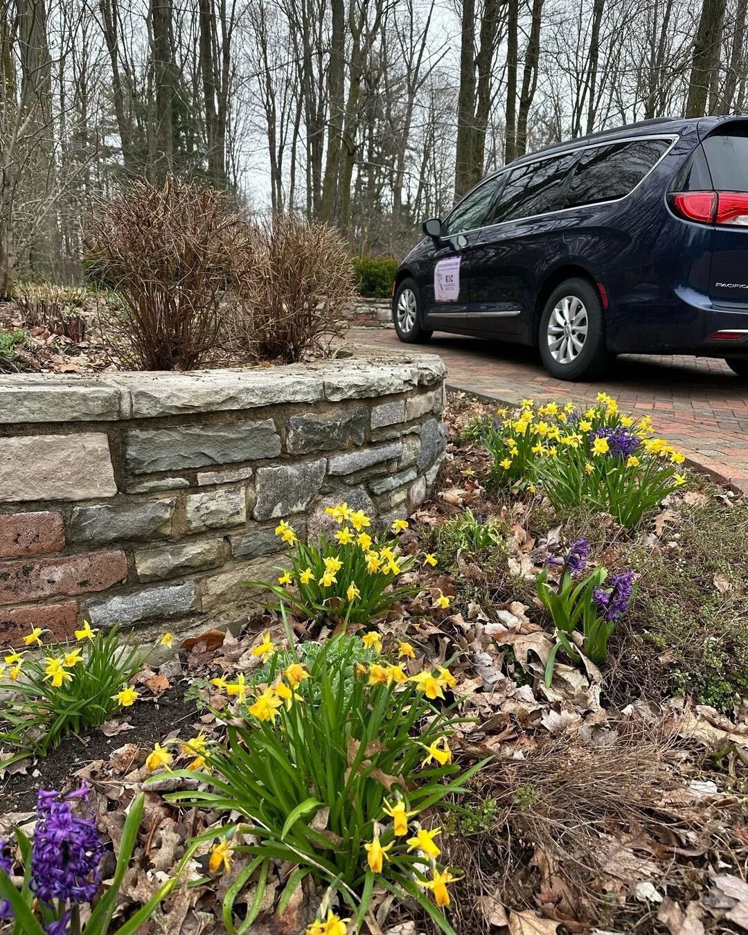 Our crew is craving warmer days but still appreciating the calm and quiet progress of spring in King City.