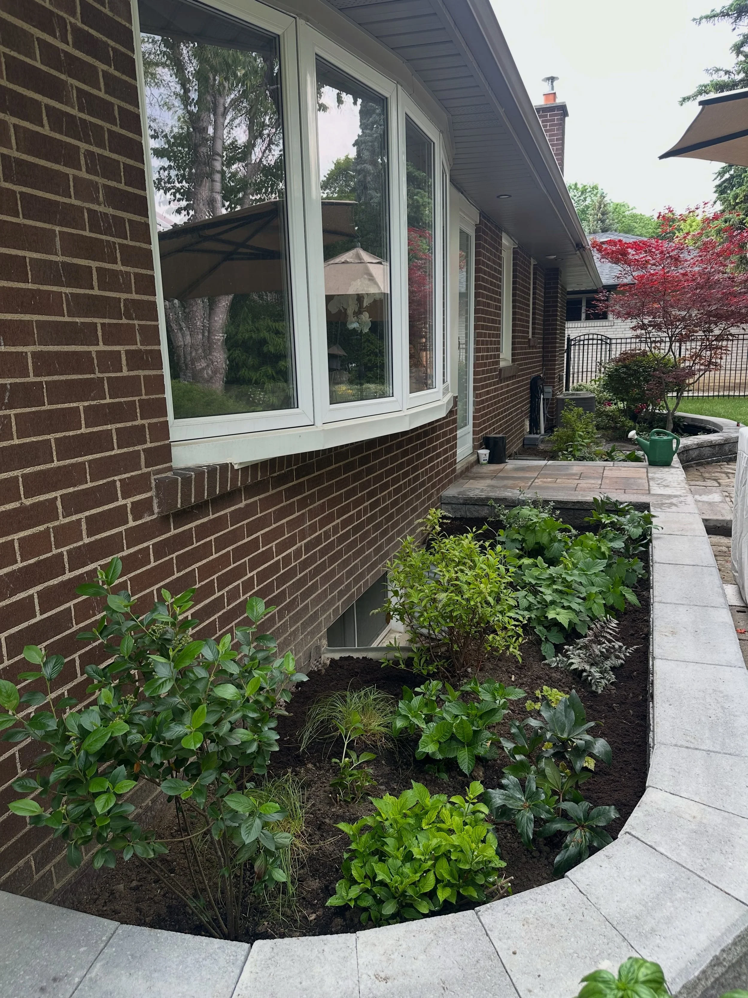 Lovely backyard transformation today!