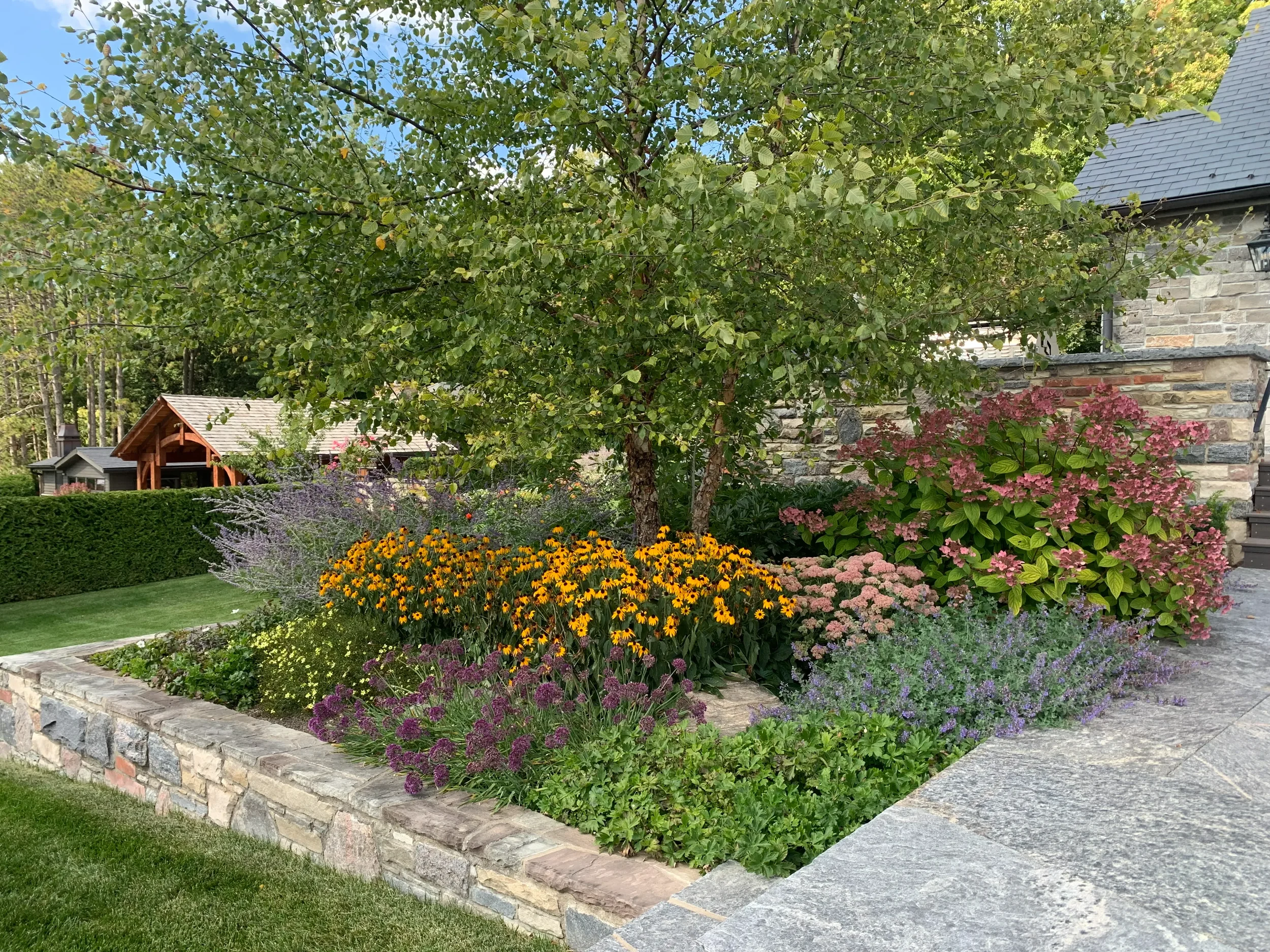 A landscaped garden bed with colorful flowers, a tree, and a stone wall, with a house and trees in the background.