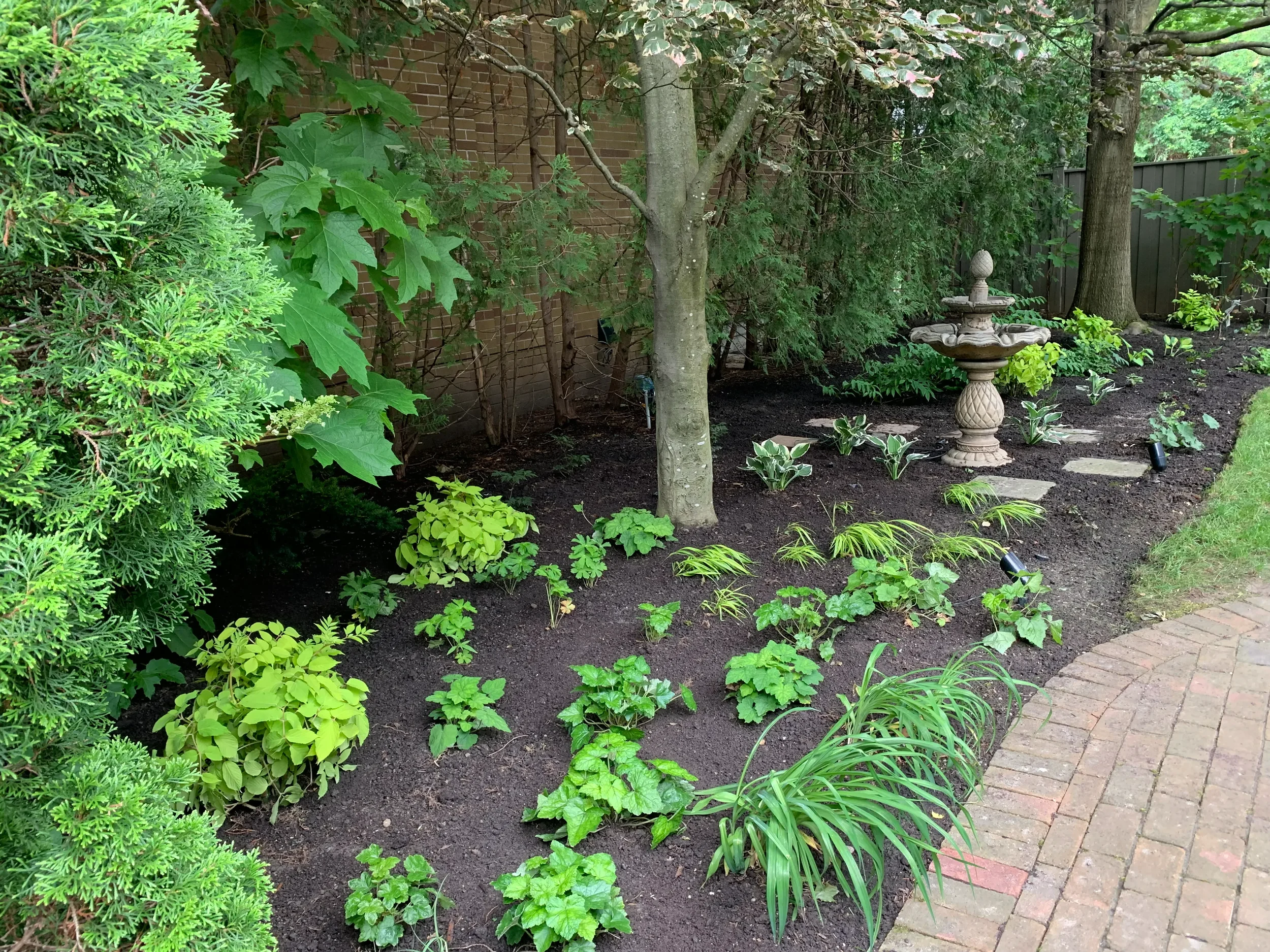 A well-maintained garden bed with various green plants and small shrubs along a brick pathway, featuring a decorative stone birdbath, and surrounded by trees and bushes.