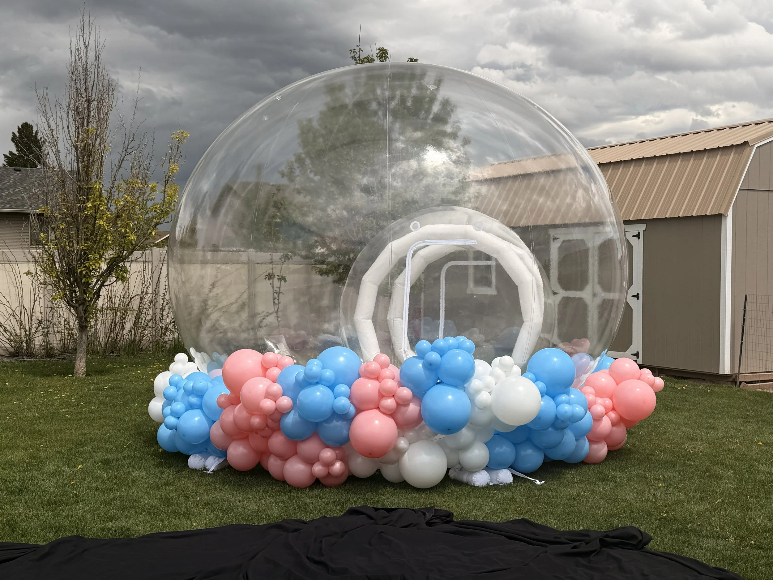 Gender reveal example.jpg