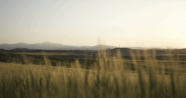 Wills, Trusts, and Estate Planning for Rural Families
