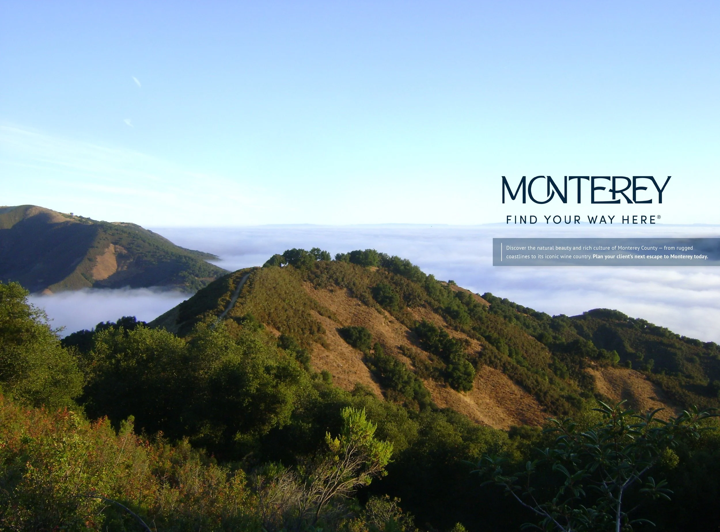 Monterey California_11.2026.jpg