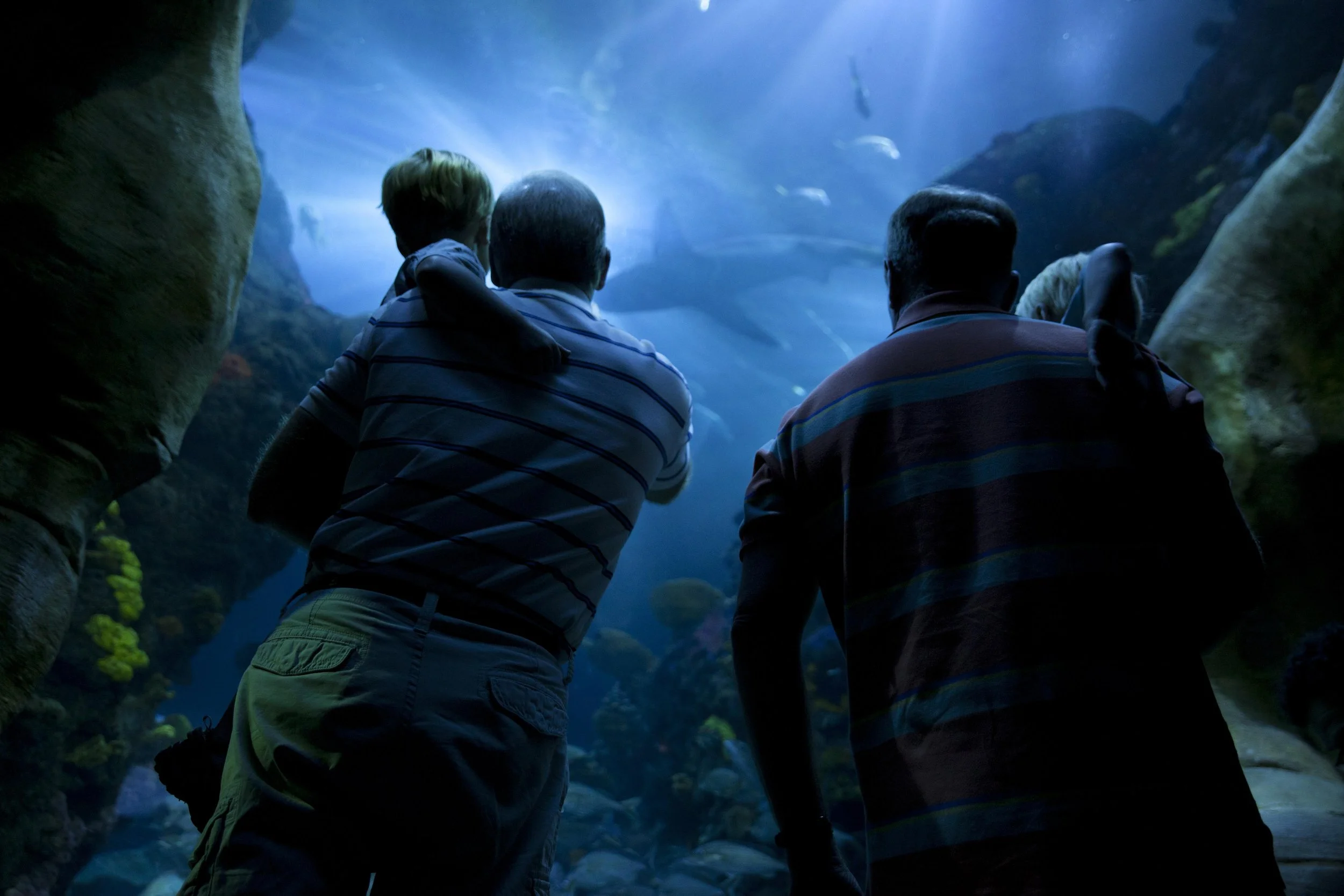 Tennessee Aquarium, Chattanooga