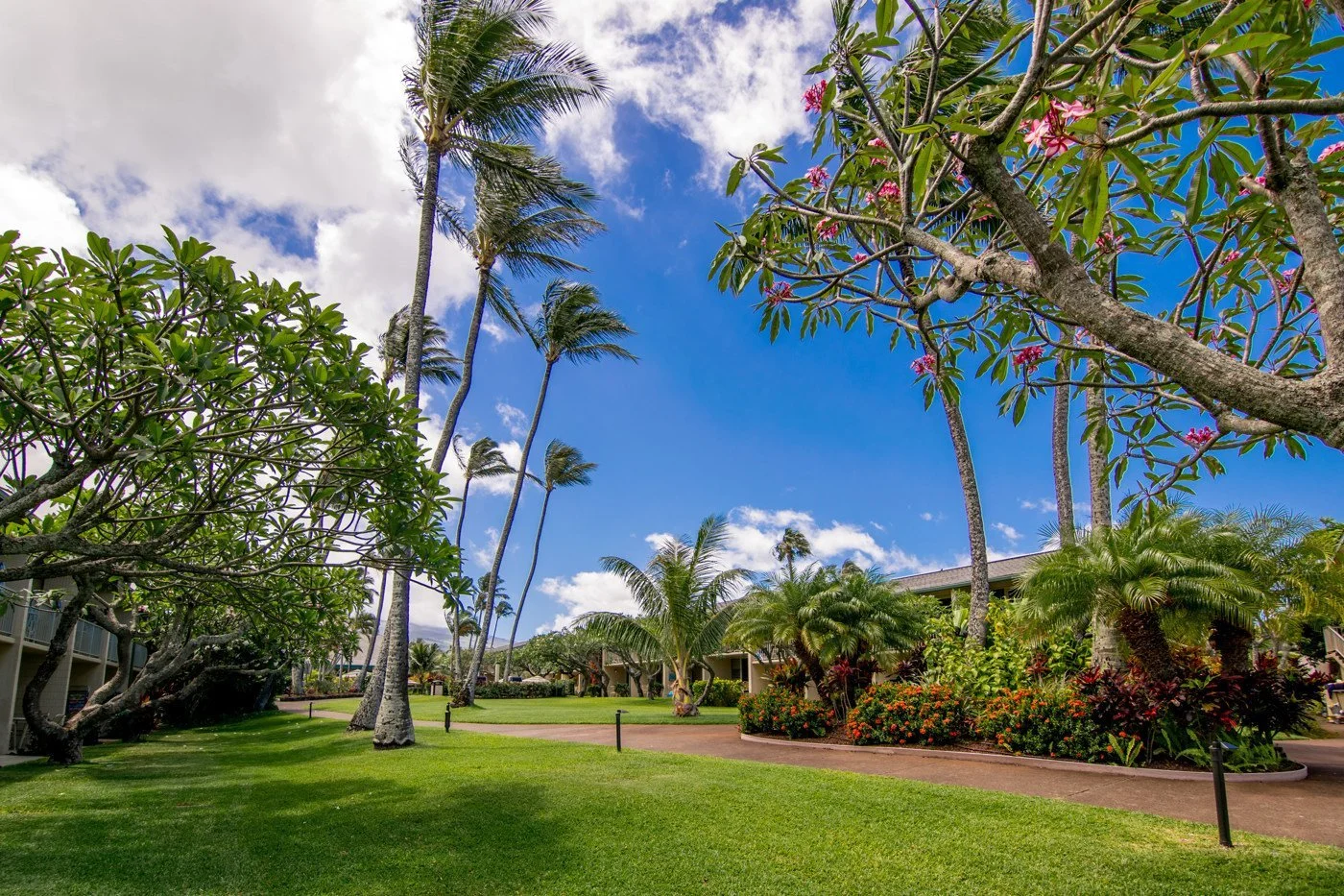 napili-shores-maui-exterior-8.jpg