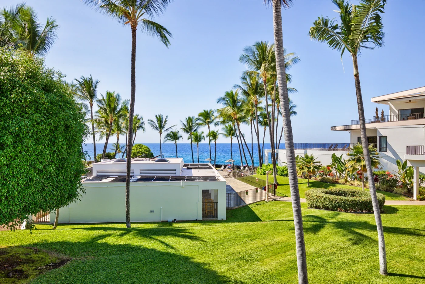 royal-sea-cliff-kona-unit202-1bed-oceanview15.webp