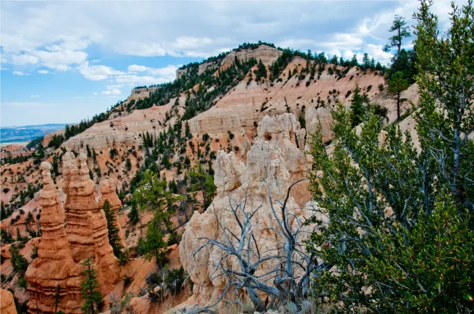 bryce-canyon-activities.webp