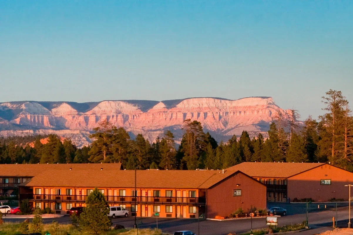 unnamed - 2026-02-27T145209.133.webp