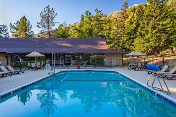 hotel pool with lounge chairs surrounding and redwood trees in the background