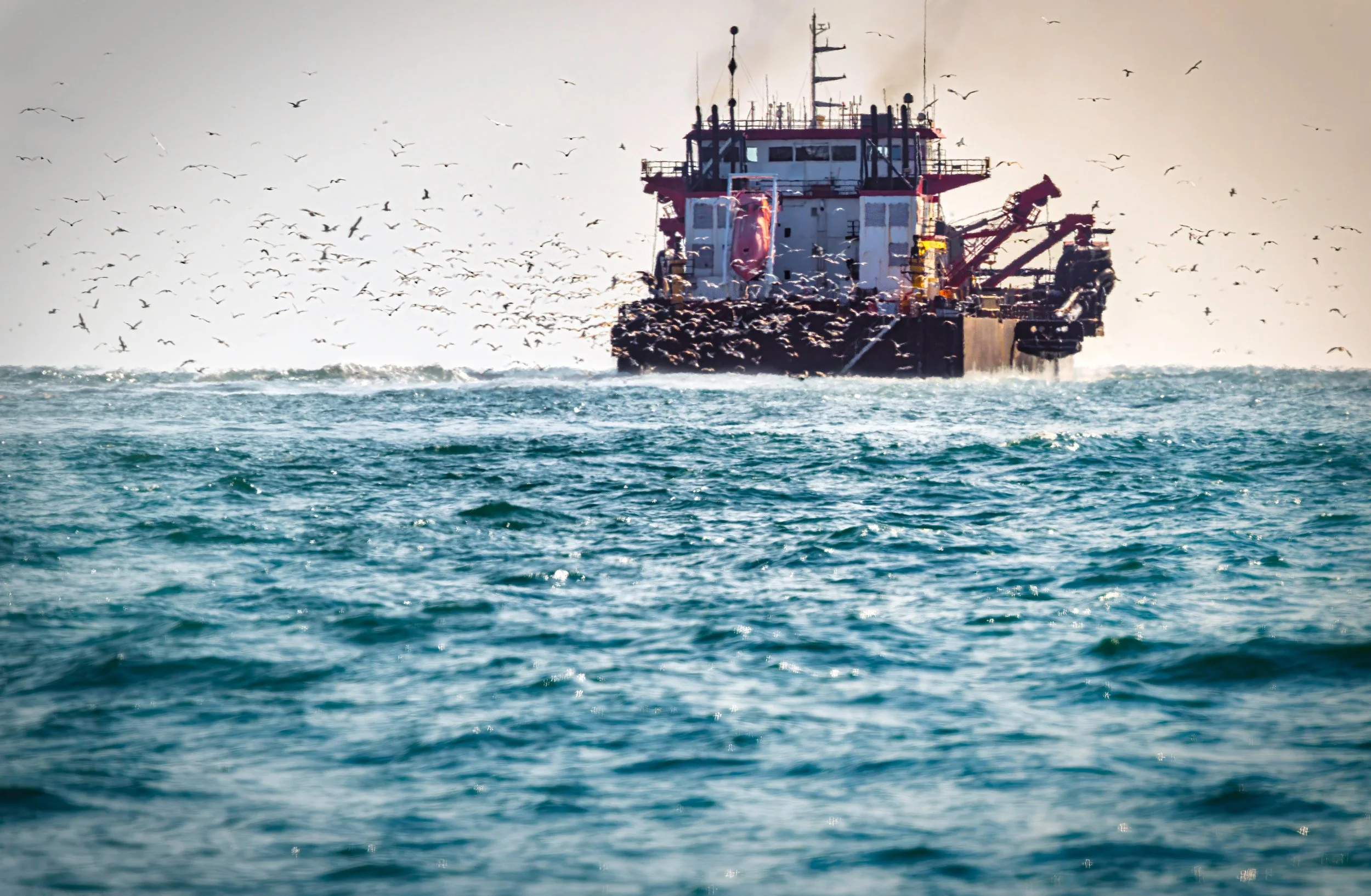 AdobeStock_1912314722.jpeg