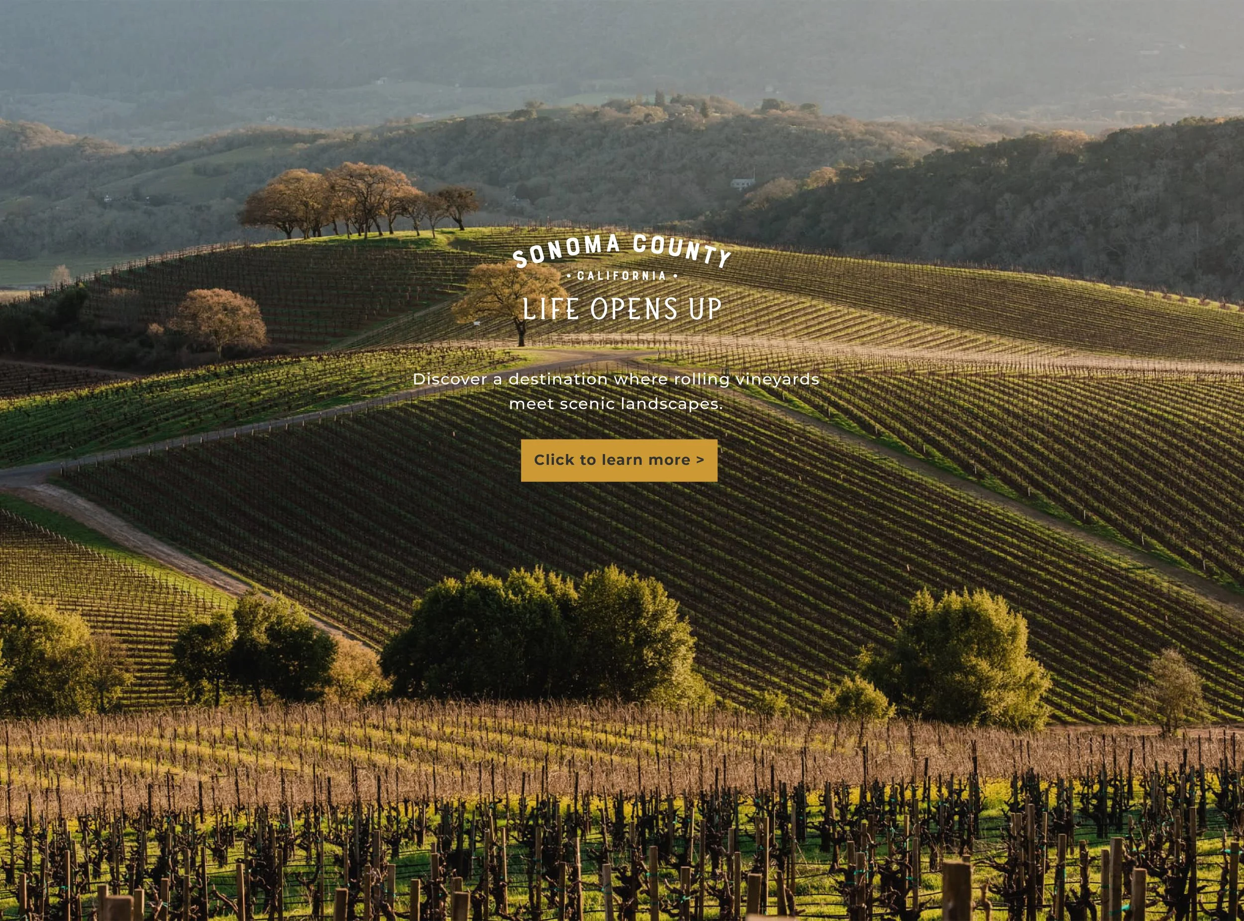 PRE_Sonoma County_11.26.jpg