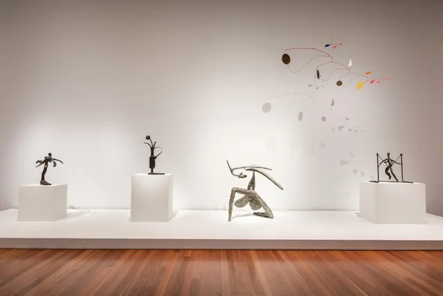 186_deYoung_Calder-Picasso_GarySexton_2-small.jpg