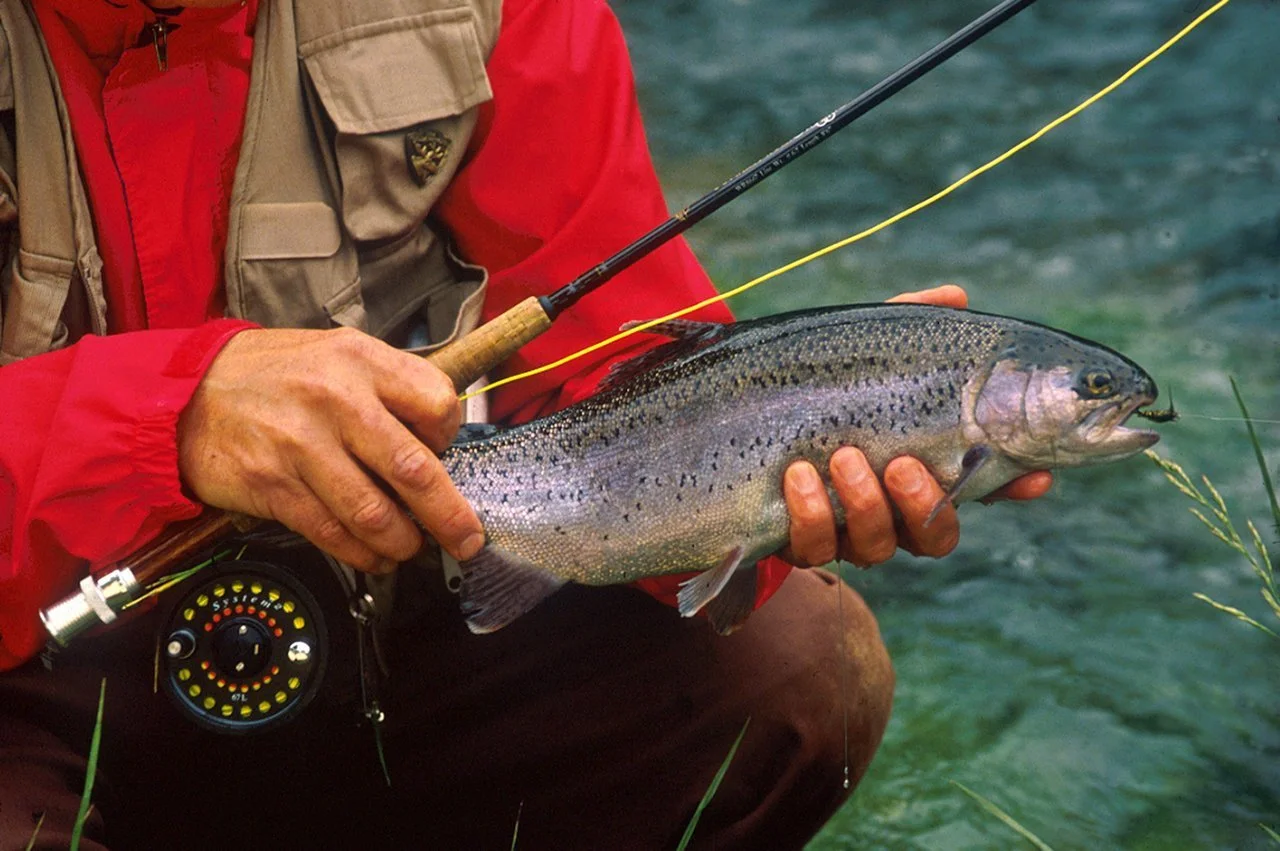 Trout Fly Fishing Bull Shoals-medium.jpg