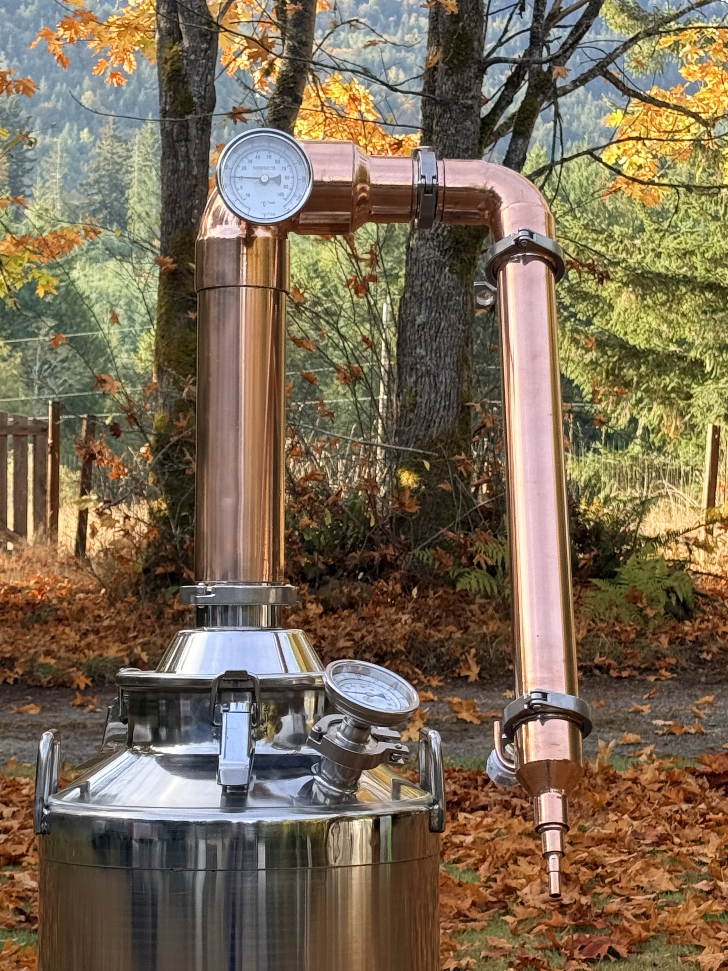 IMG_5546.jpeg
