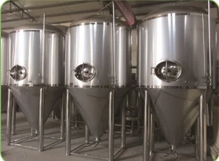 conical fermeter 2.jpg