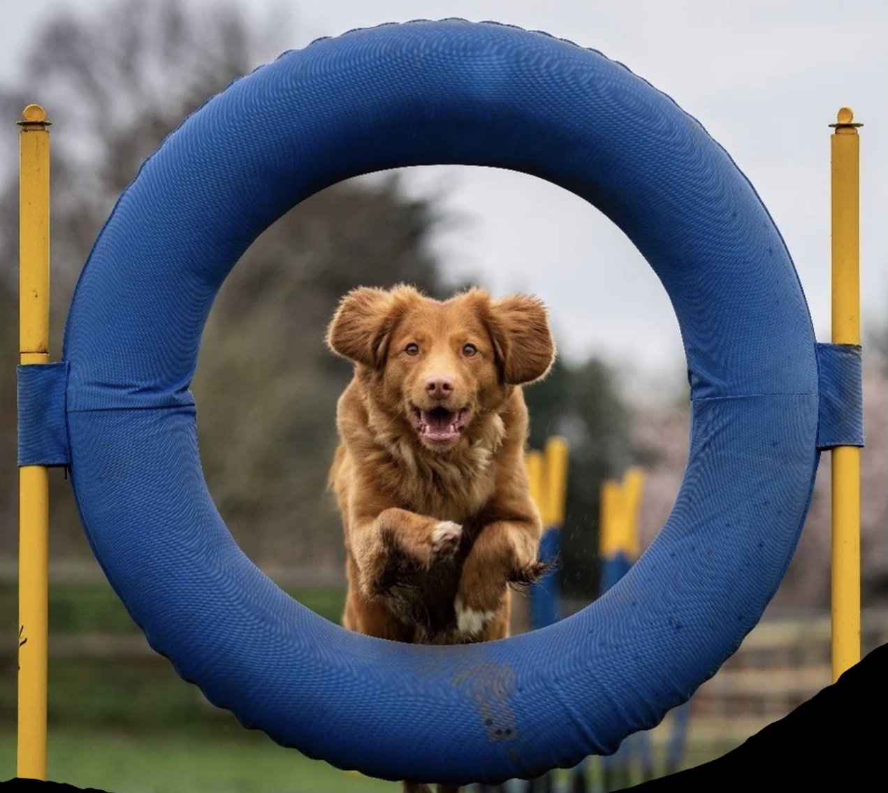 Power of Play