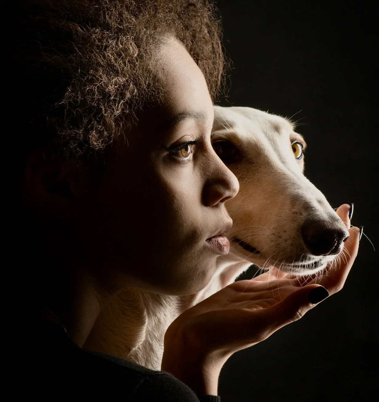 Humans and Canines-Personality, Emotion and Language