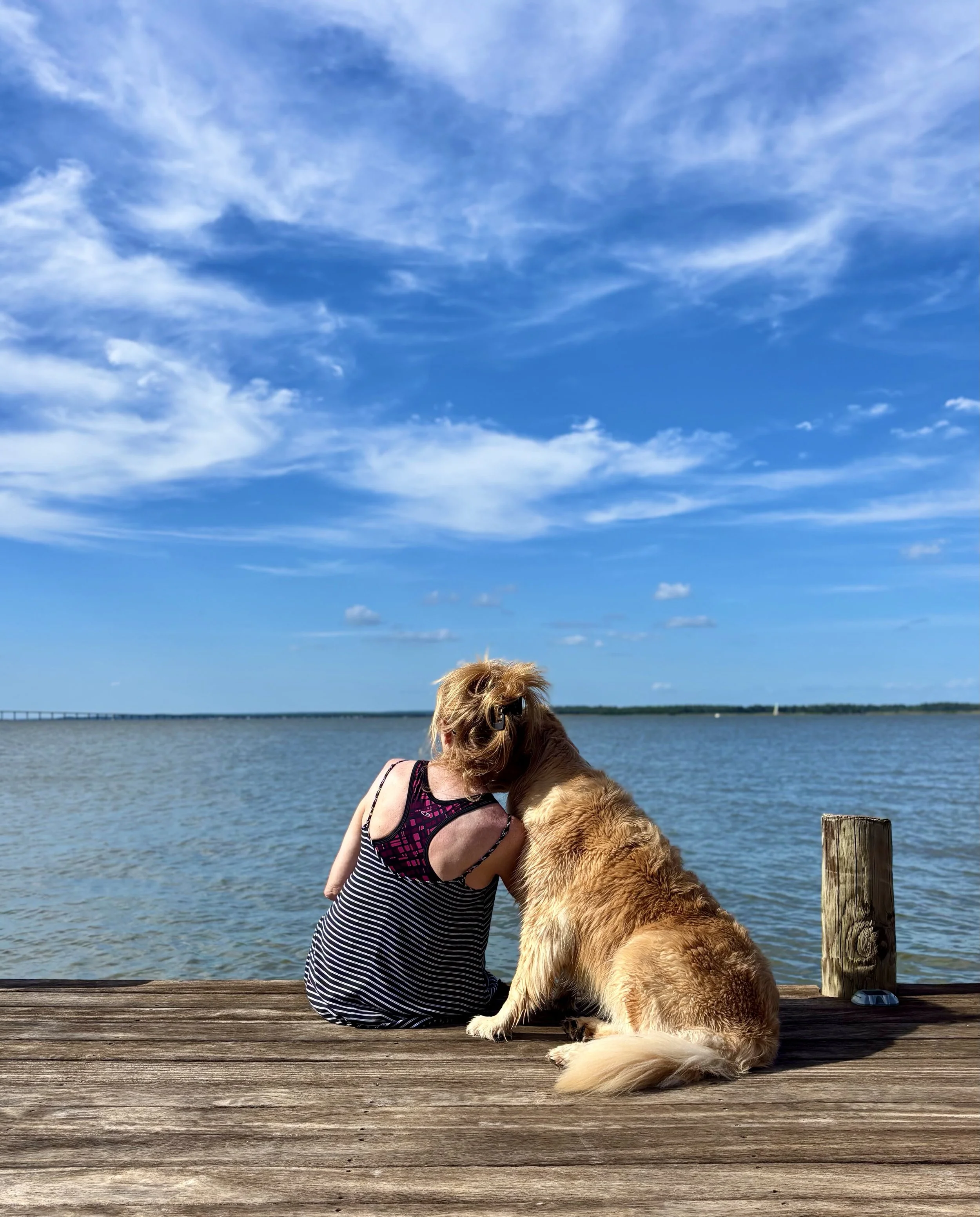 NEW BOOK RELEASE! “Leash of Courage: One whistleblower’s crusade against big pharma fraud and her Golden path to healing”