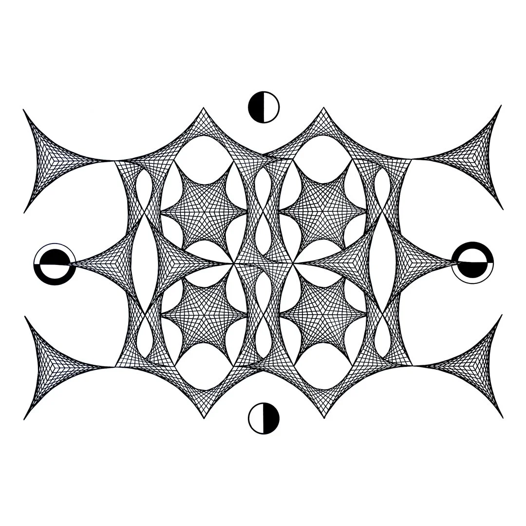 A complex geometric black and white pattern of interconnected web-like structures with circular elements and shading differences.