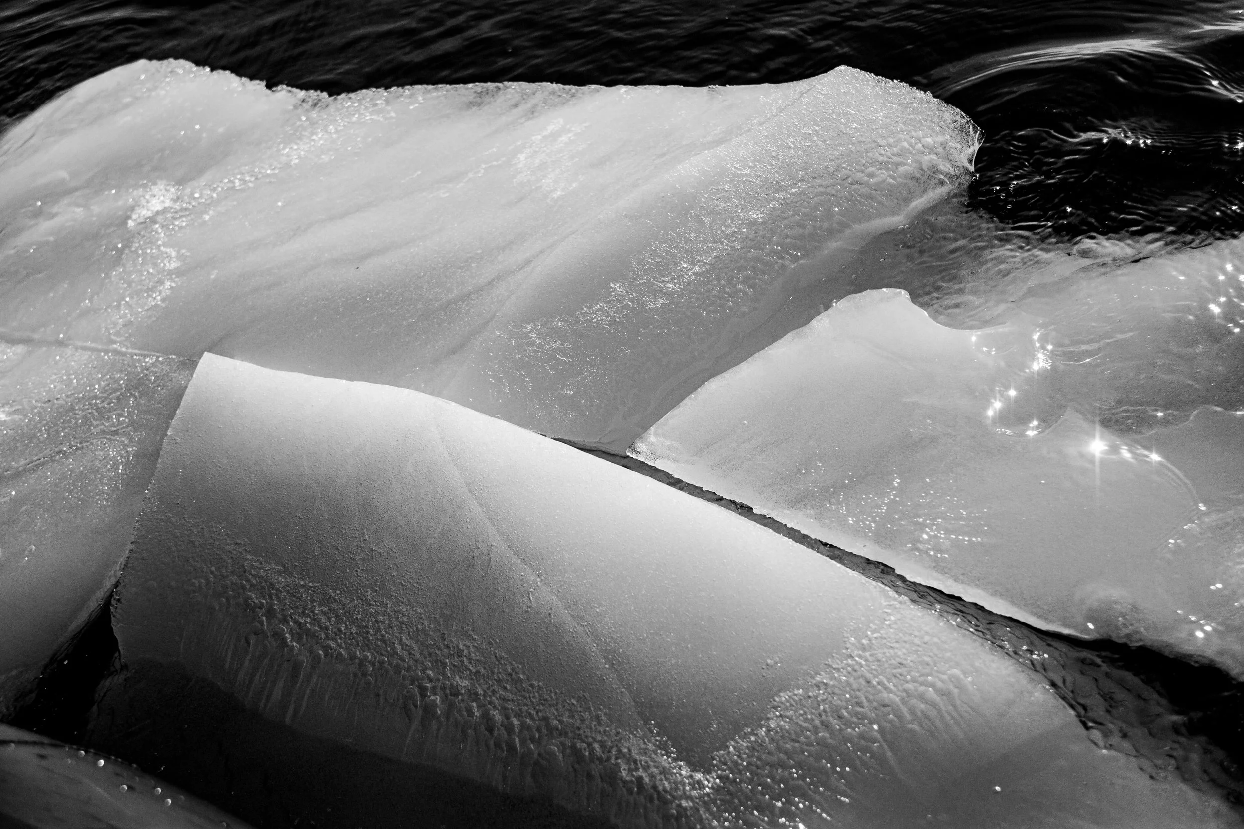Close-up black and white photograph of ice chunks or glaciers with water, surface glistening with reflections.