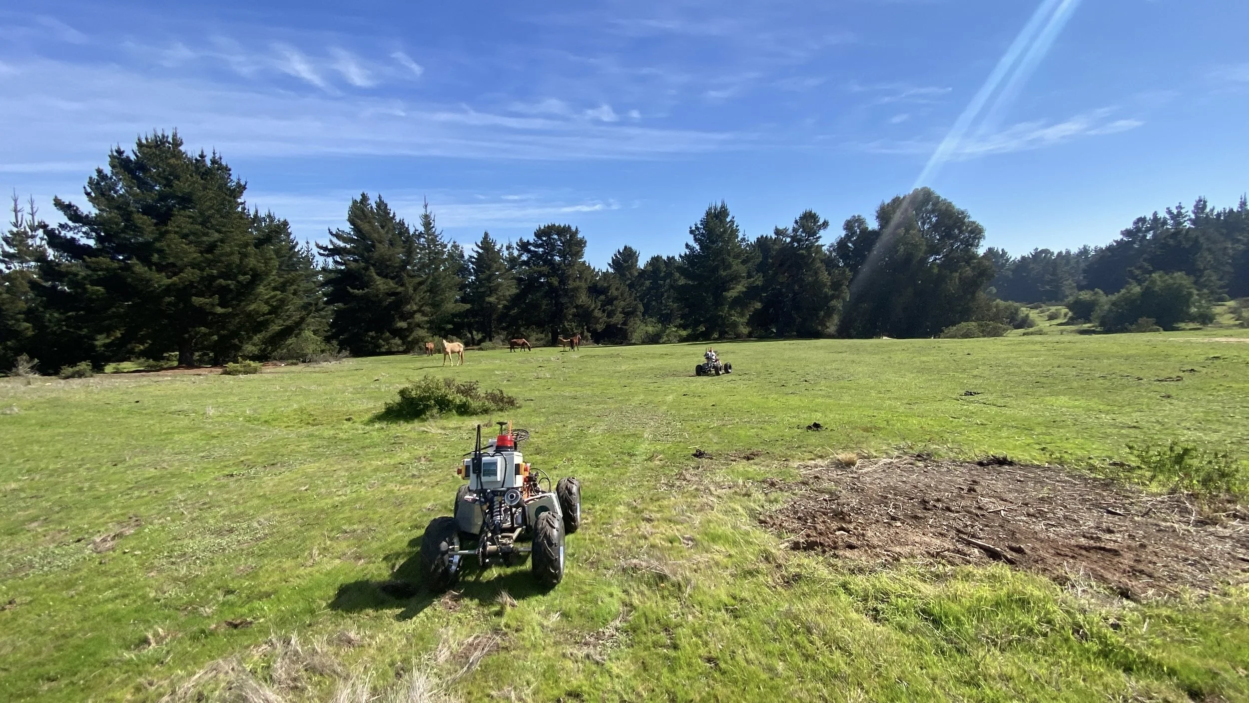 Open grassy field with tall trees in the background, horses grazing, and two all-terrain robots in the foreground on a sunny day with blue sky and clouds.