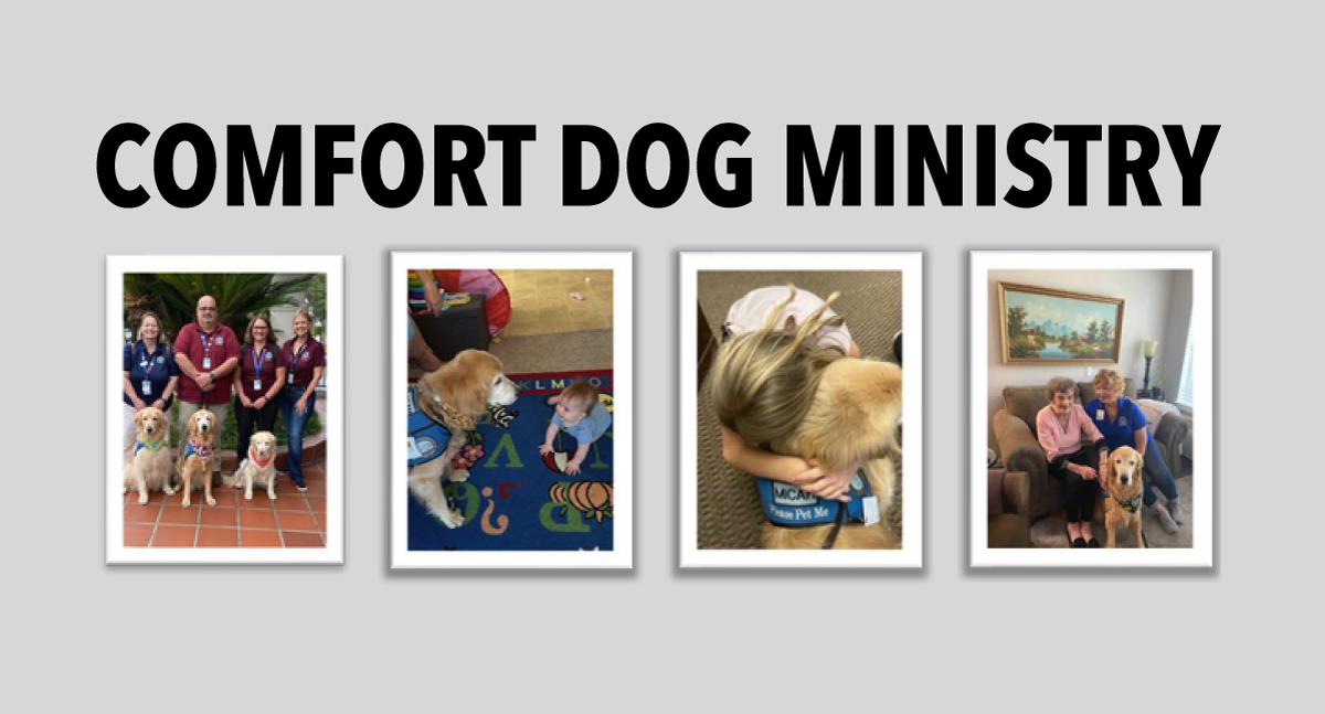 Comfort Dog Ministry Update