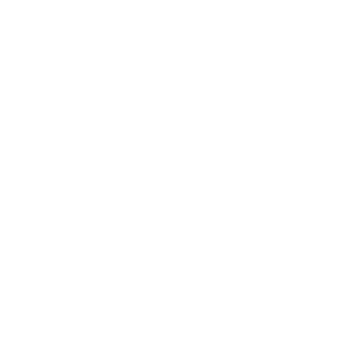 Black and white version of Draught Pro Logo