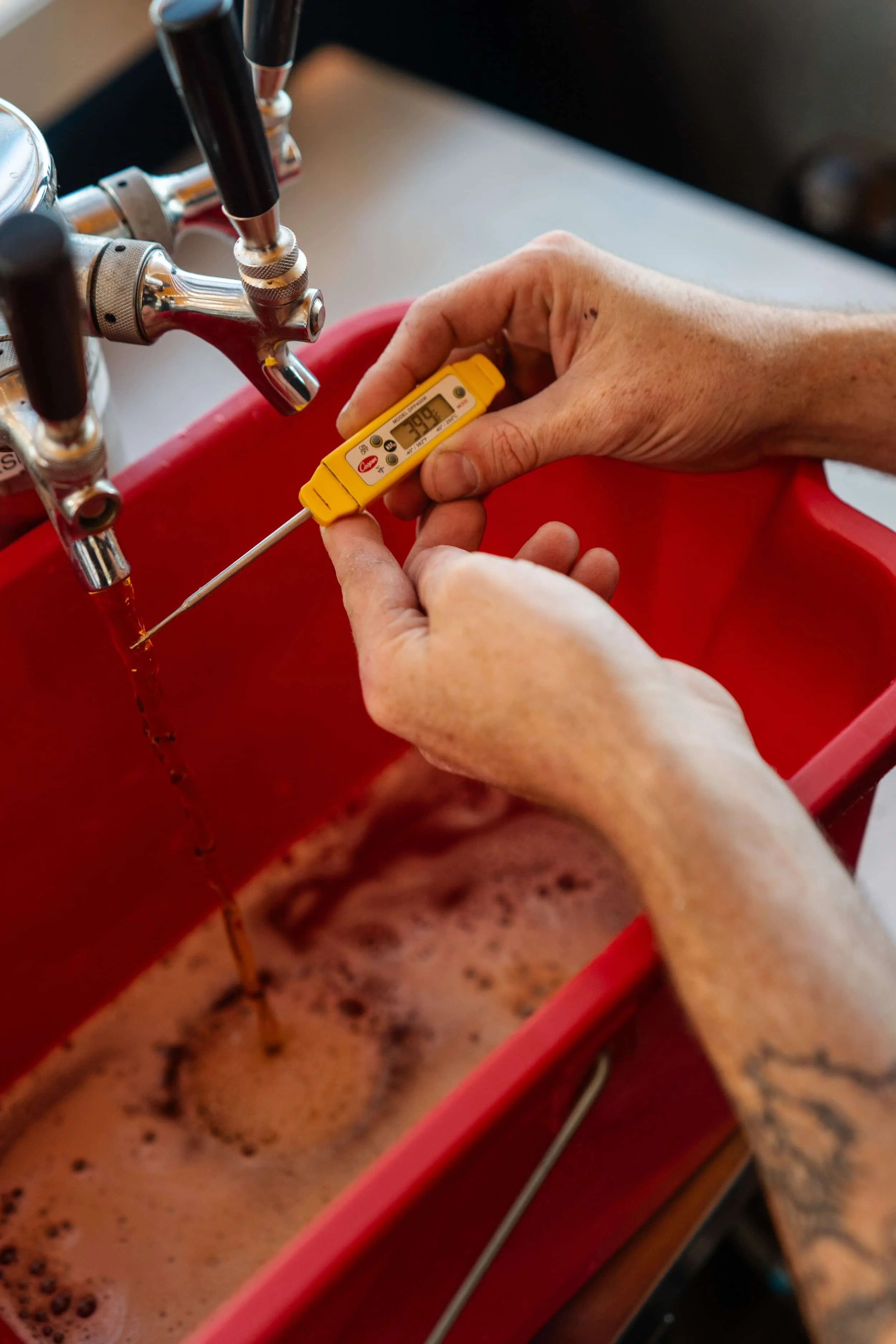 A person is testing the temperature of a boiling liquid, possibly beer, in a red container using a digital thermometer. The person is holding the thermometer probe in the liquid, with a beverage tap and foamy fizzy liquid visible in the background.