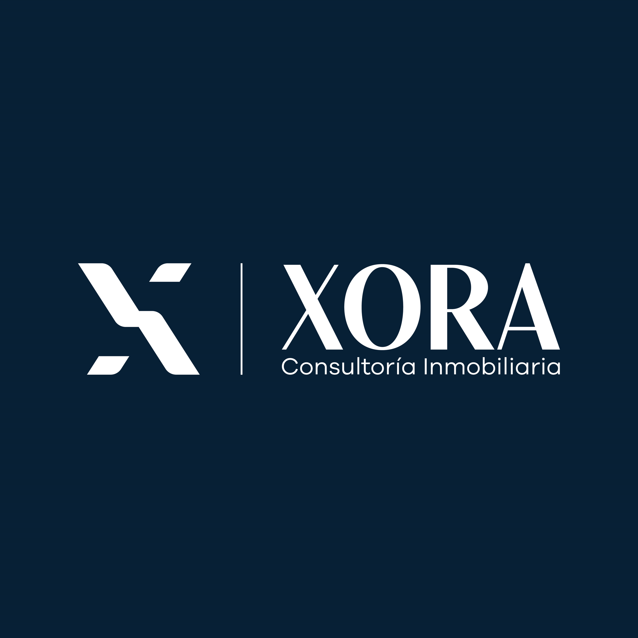 XORA-38.png