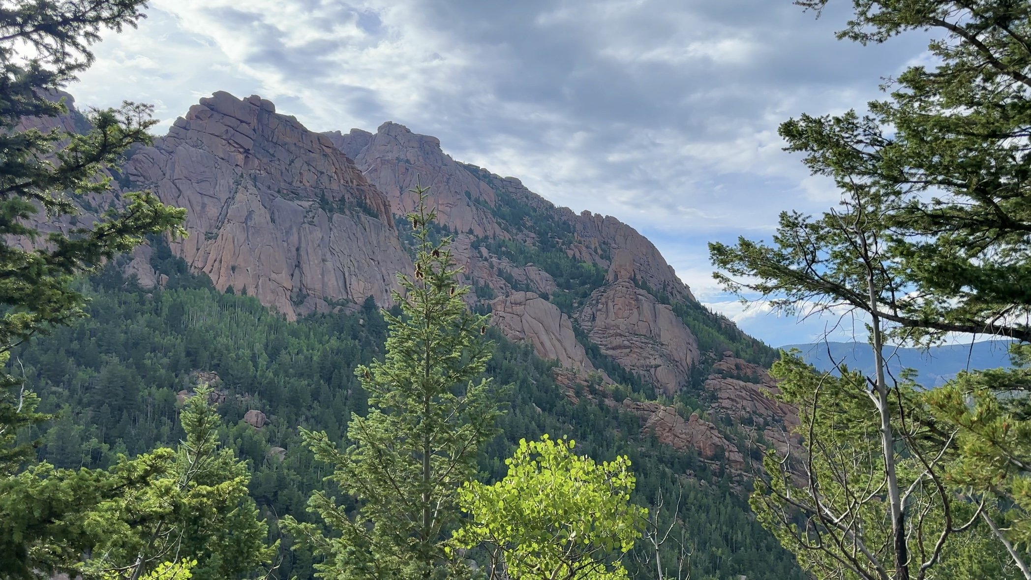 A mountain shown through the trees with beautiful lighting