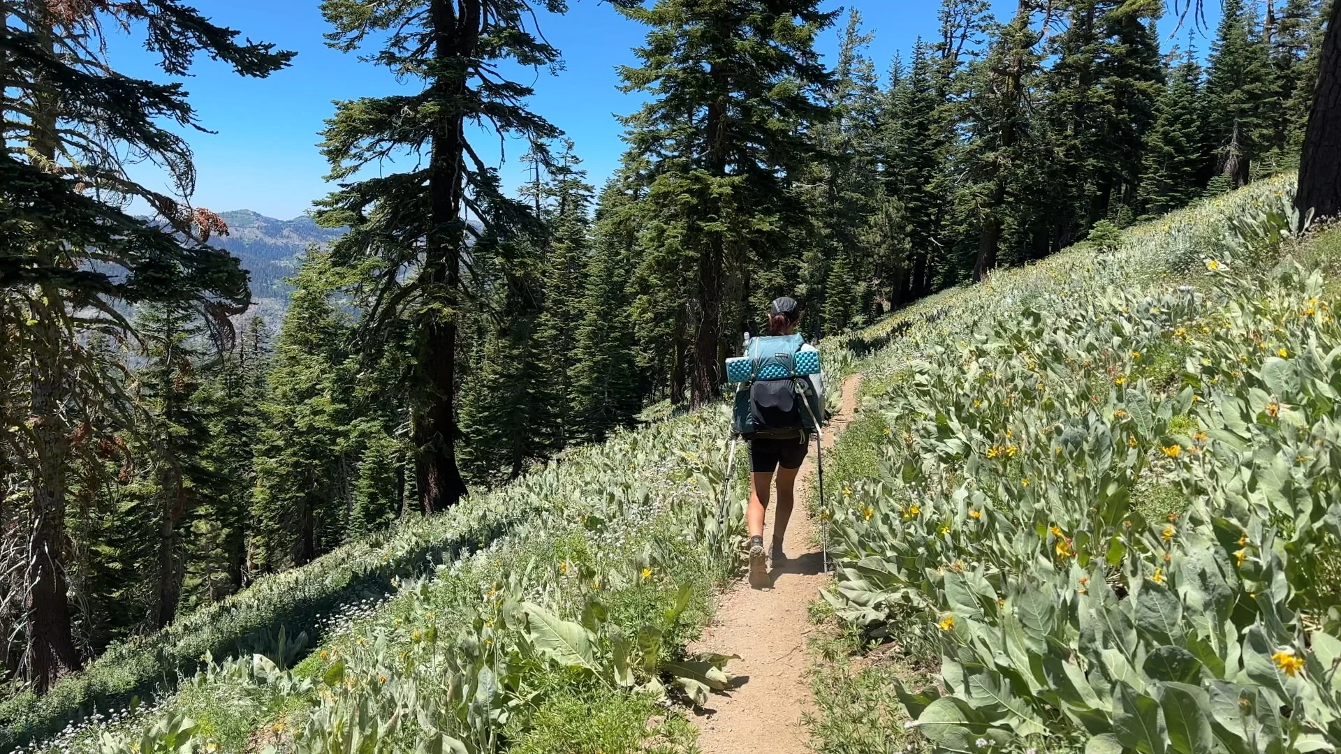 Female backpacker hiking on a beautiful green hillside in the forest