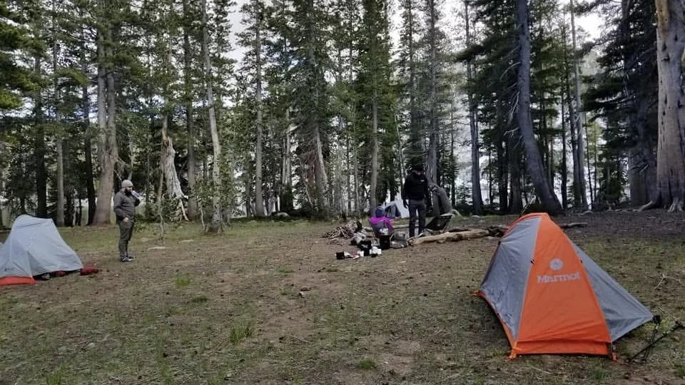 Camp set up in the trees after backpacking. Tents are pitched.