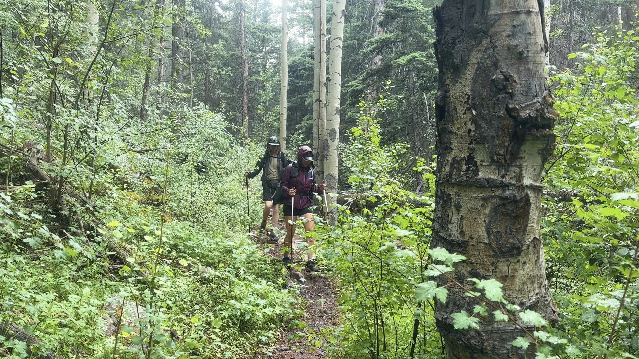 Two backpackers hiking in the rain with rain jackets on