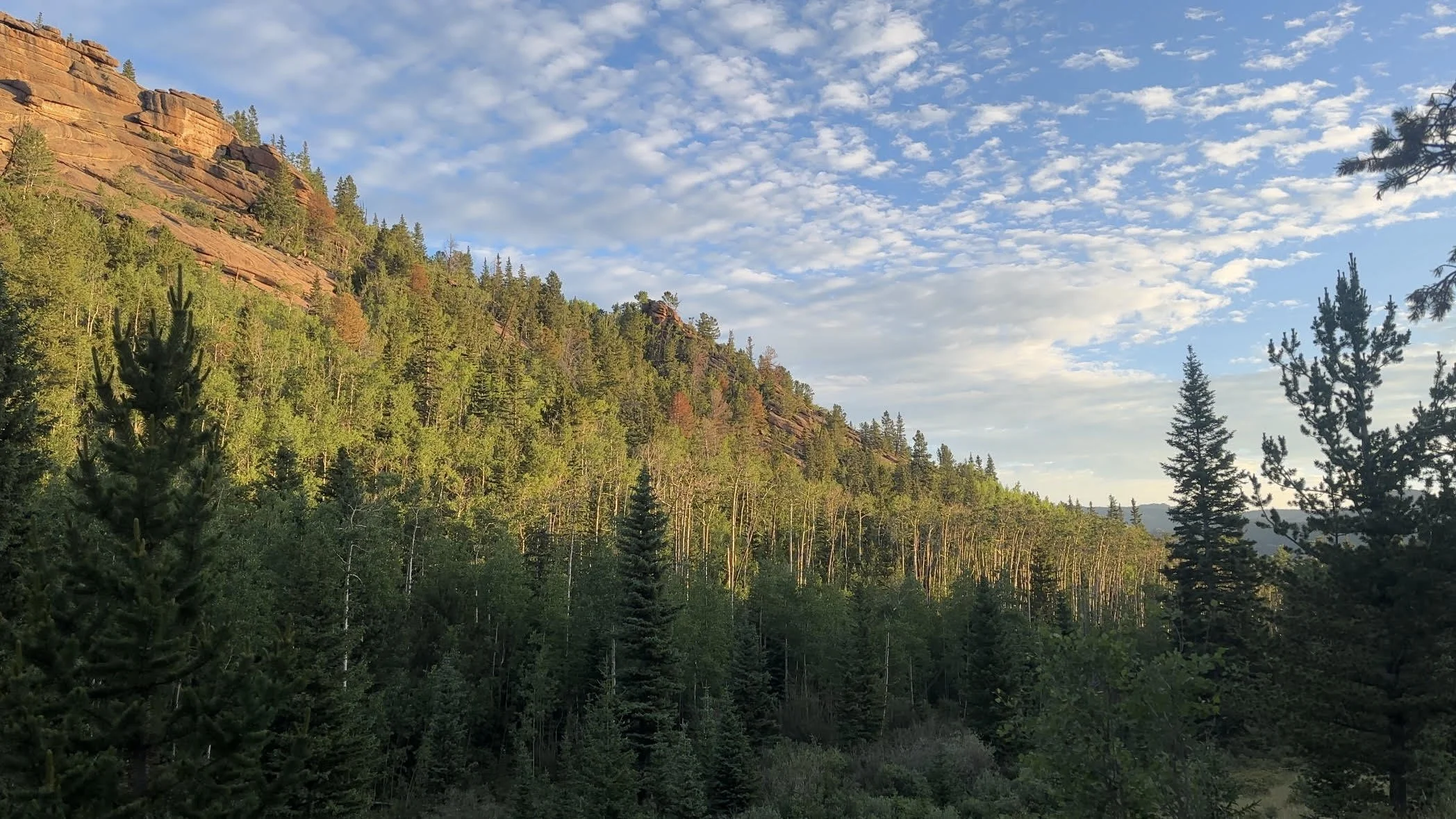 Beautiful sunrise in the mountains and trees
