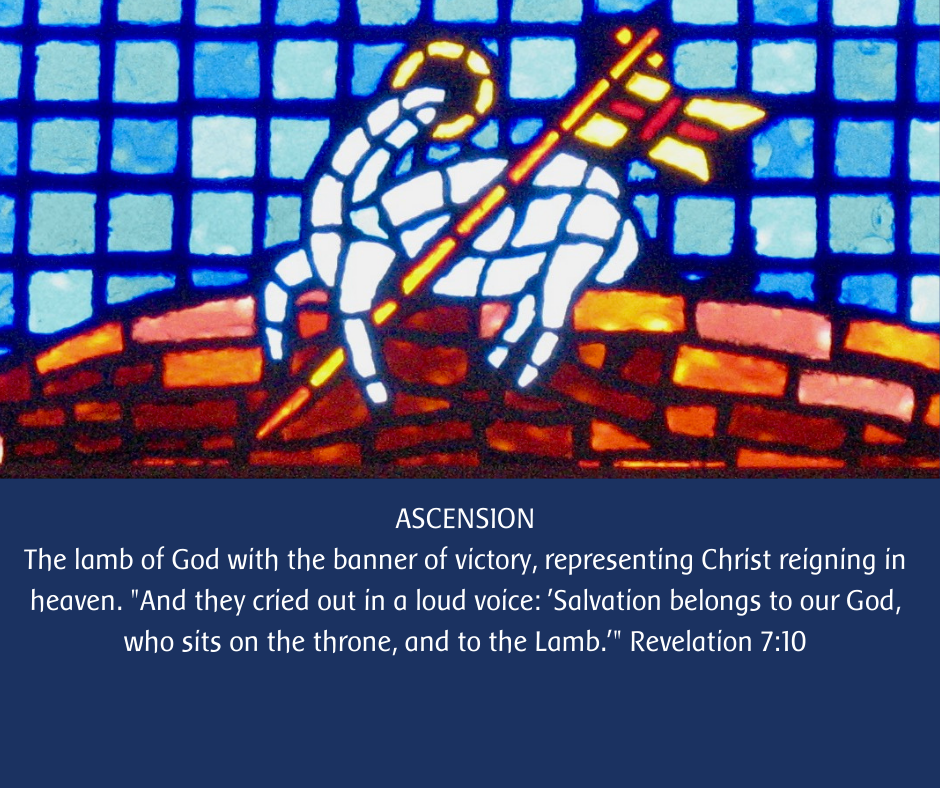 Ascension+.png