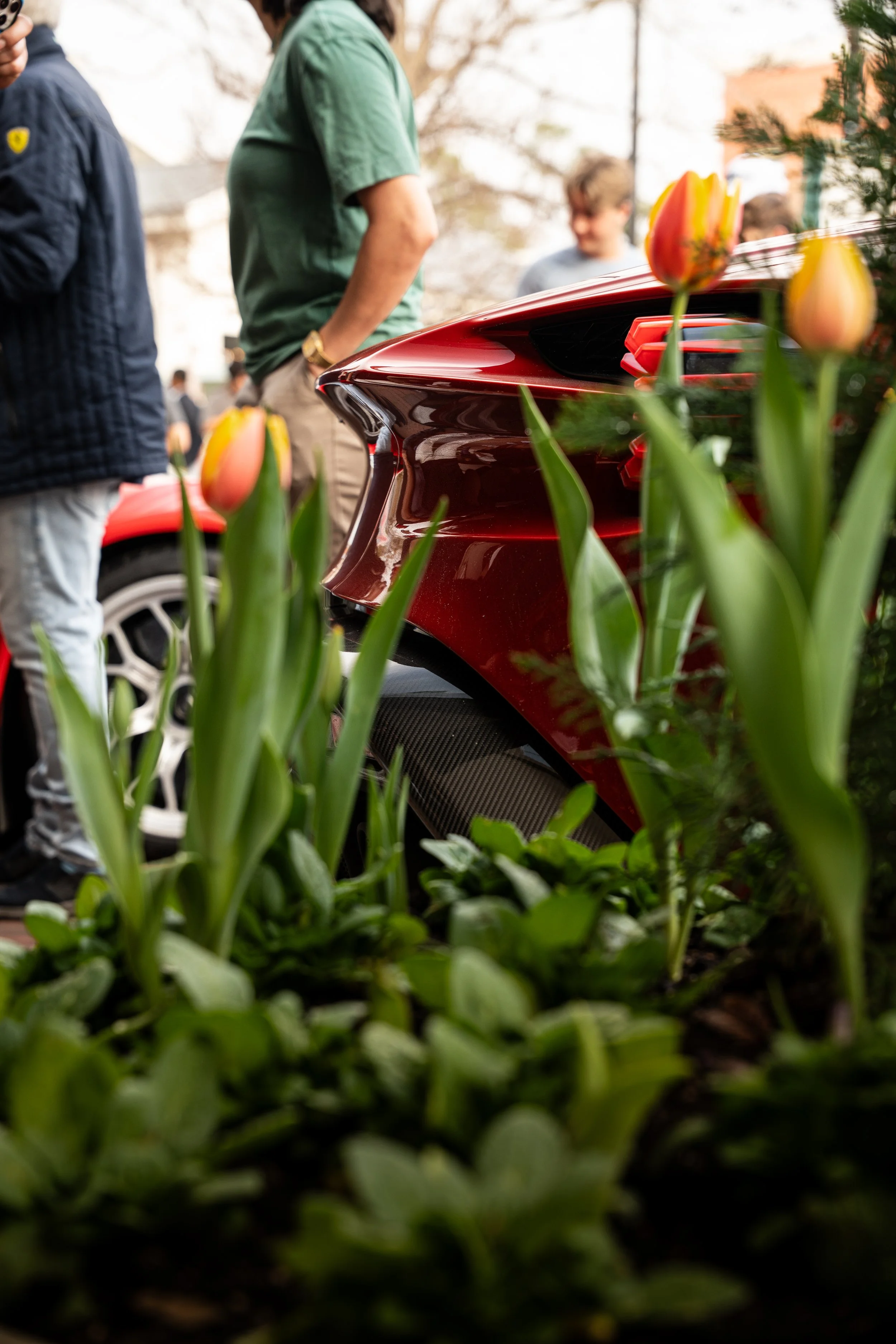 Woodlands Cars & Coffee-10.jpg