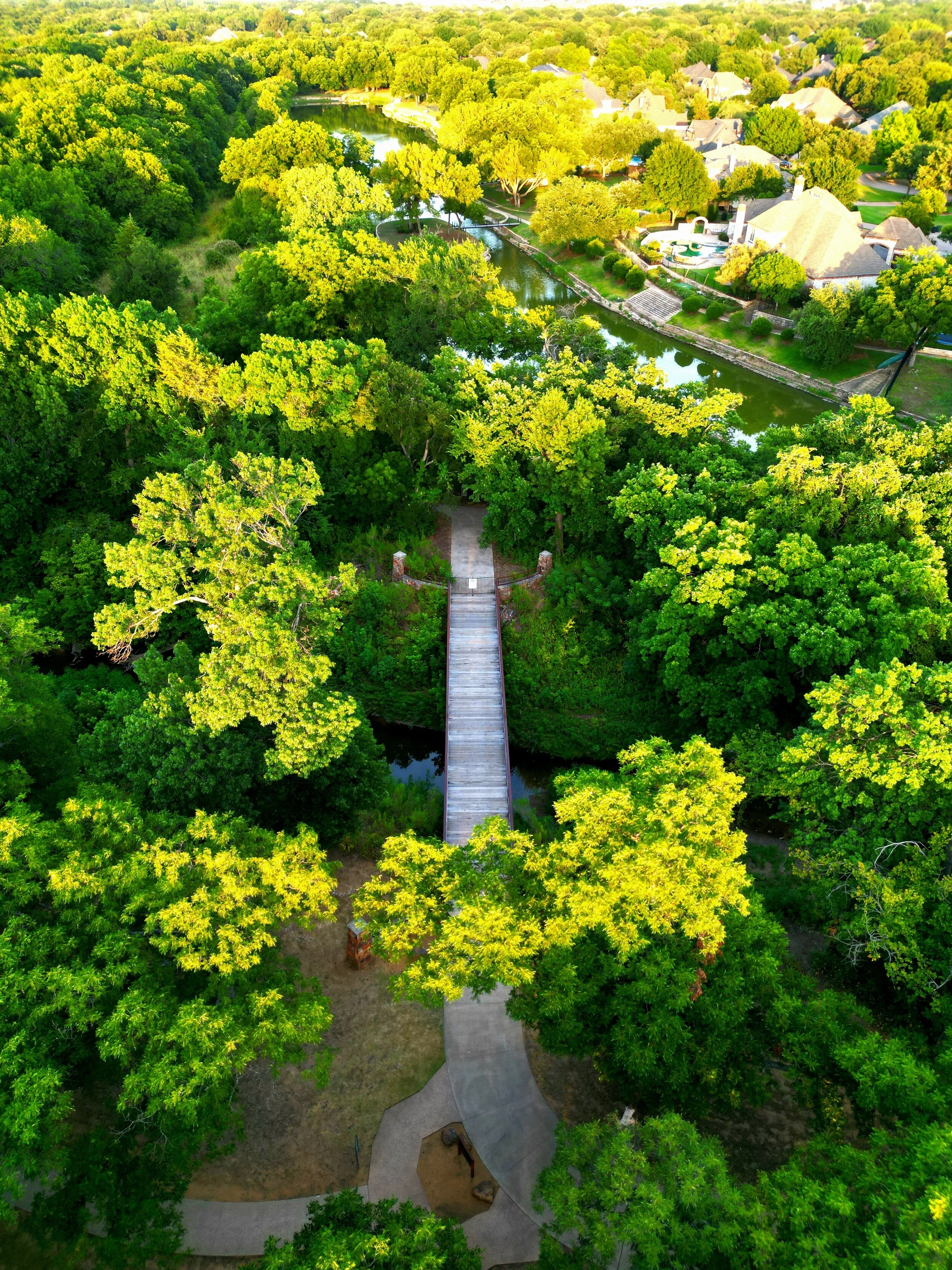 An aerial view of a park with a bridge over a small creek, surrounded by dense green trees, with a neighborhood and a river in the background.