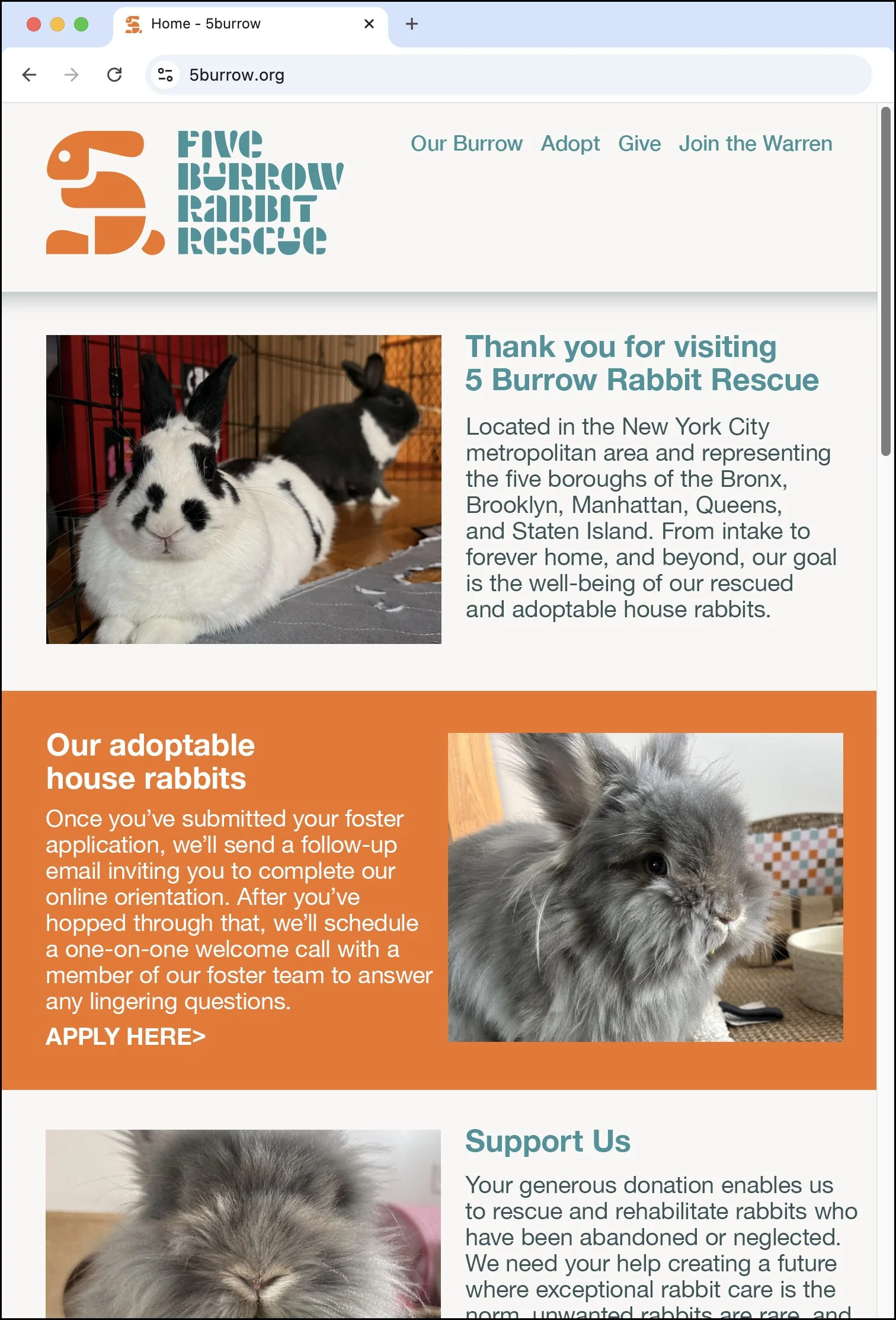 5 Burrow Rabbit Rescue Stencil Logo Round 2 - Website Layout. Designed by Kevin Dresser