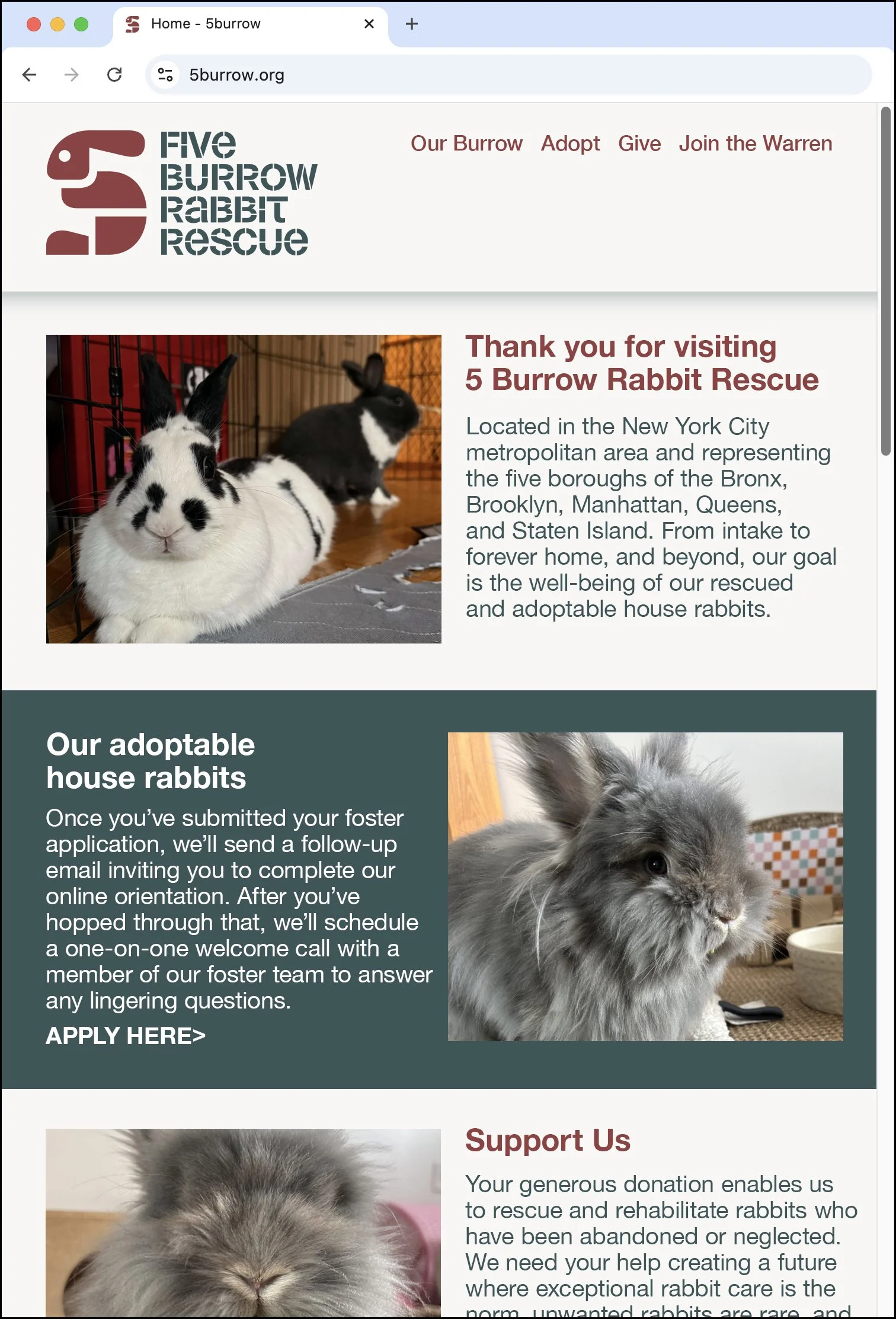 5 Burrow Rabbit Rescue Logo Sketch #3 Website Layout. Designed by Kevin Dresser